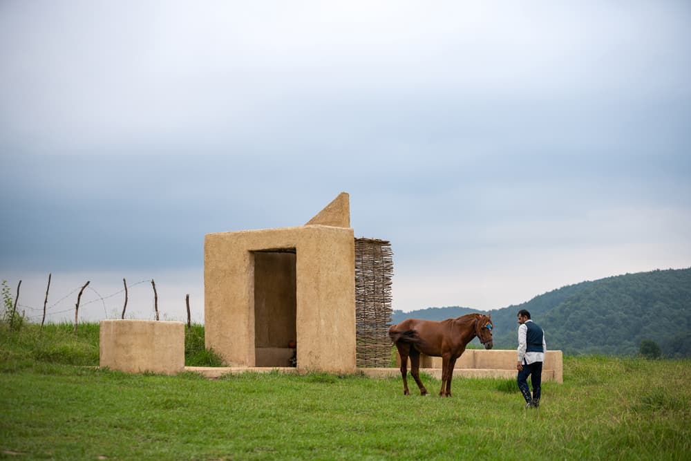 pordarom - image 7