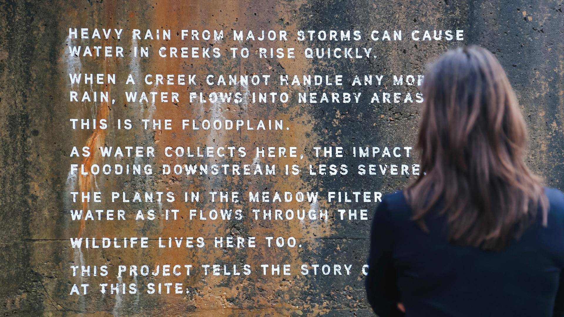 Alluvial Decoder (City of Raleigh Storm Memorial) - image 9
