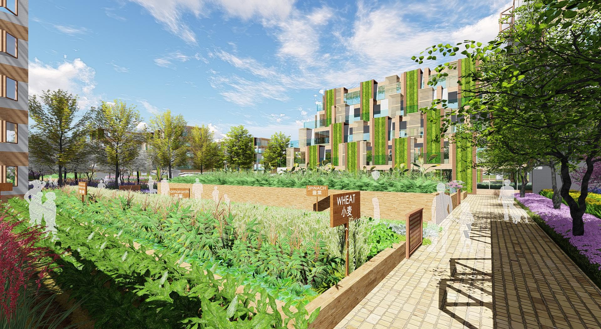 Conceptual planning and urban design for Sino-German future city - image 10