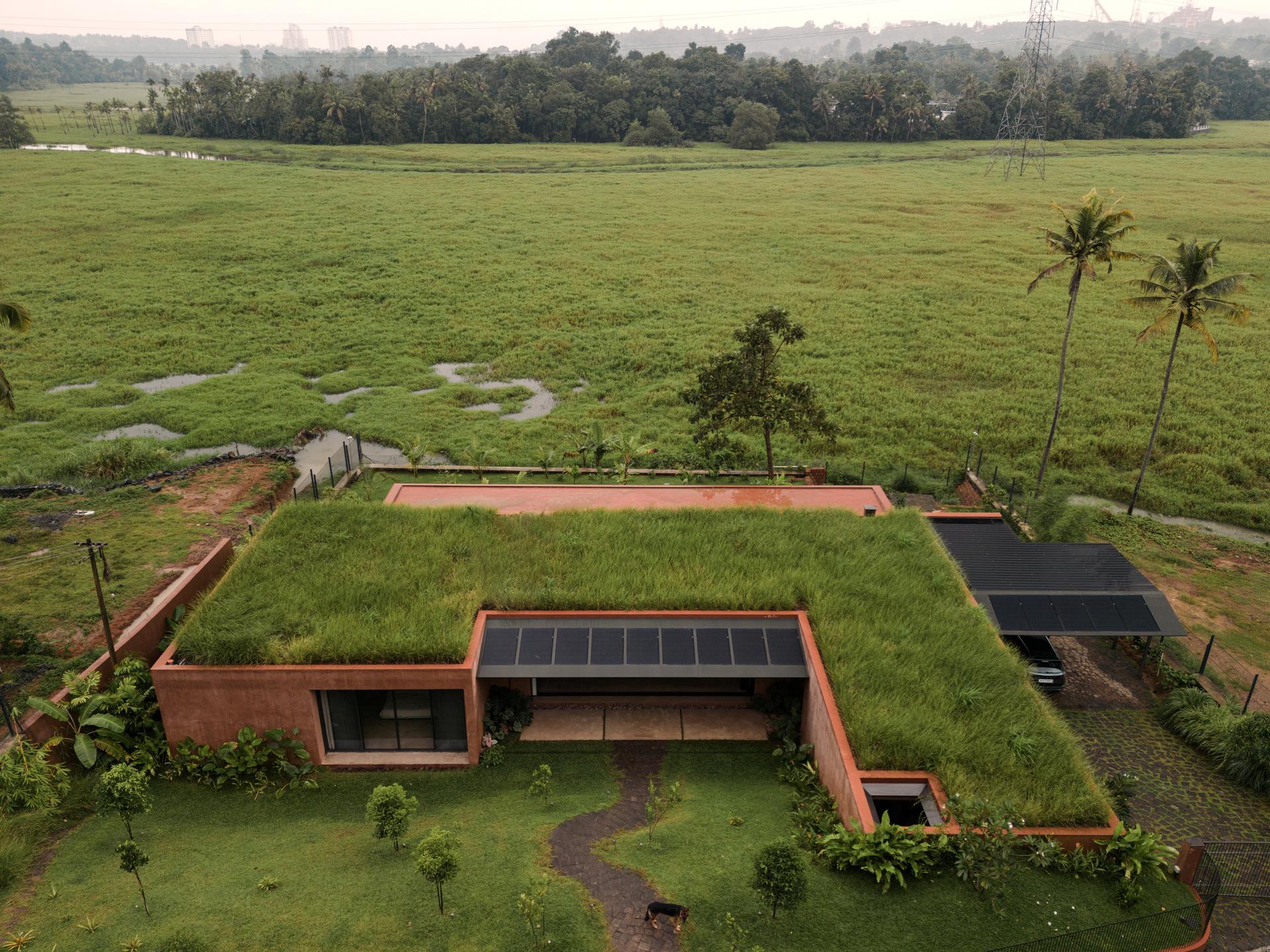 Alarine Earth Home - image 4