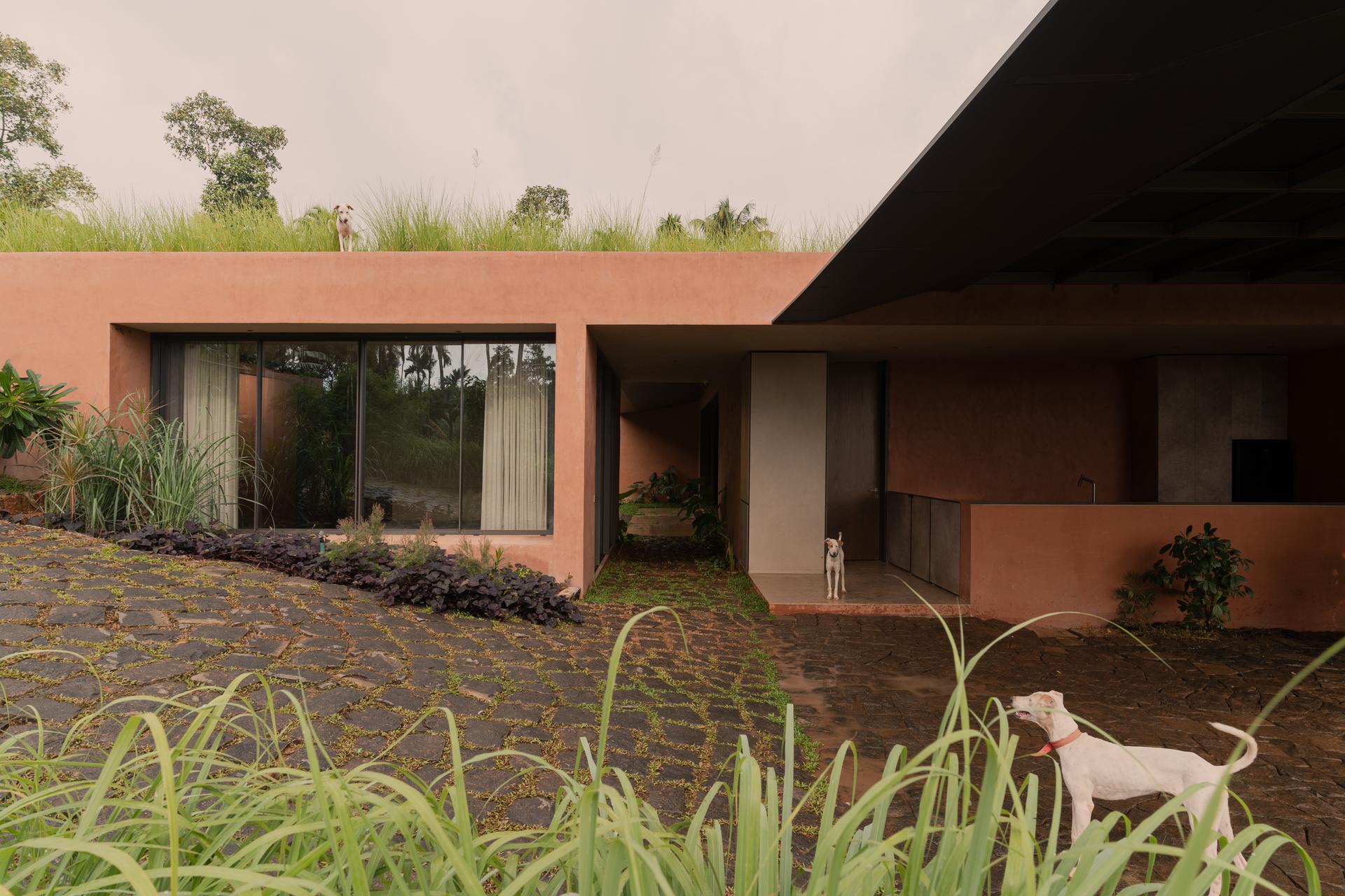 Alarine Earth Home - image 8