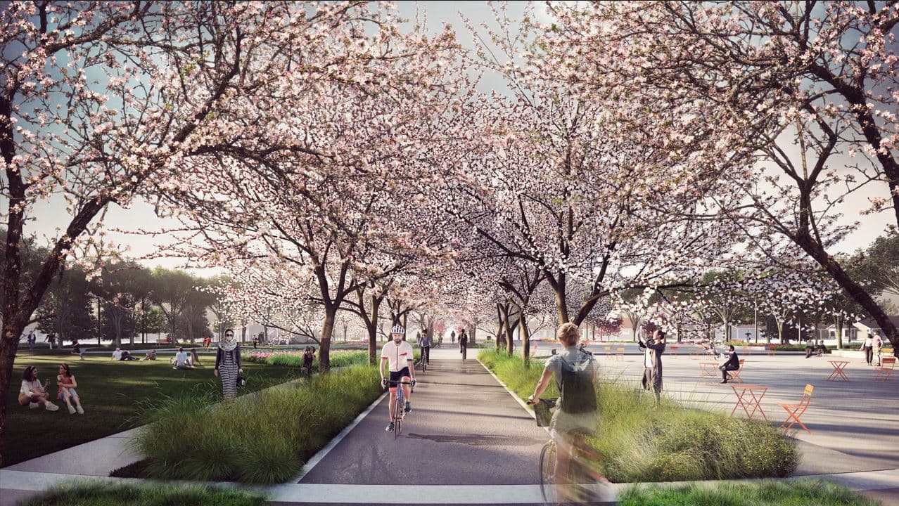 Balmoral Circus - image 3