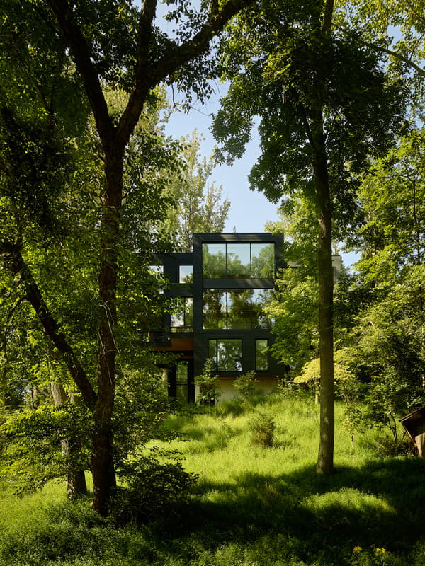 Virginia Treehouse - image 15