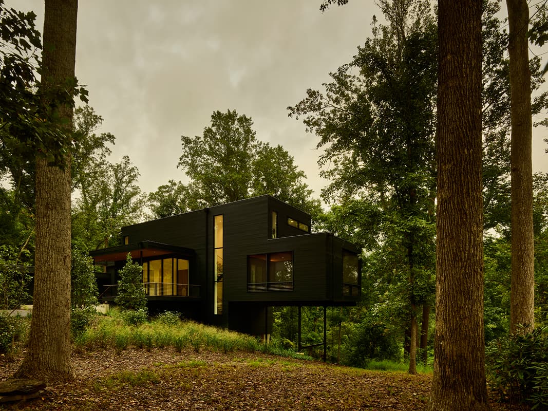 Virginia Treehouse - image 13