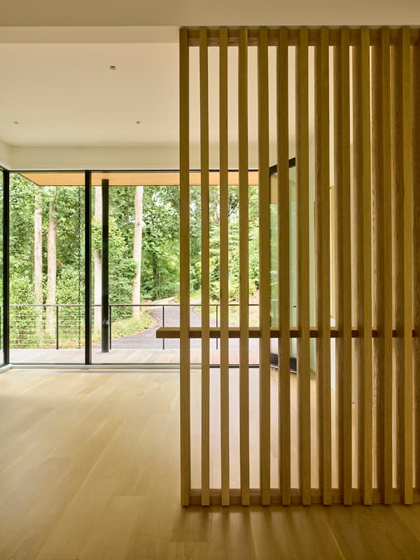 Virginia Treehouse - image 6