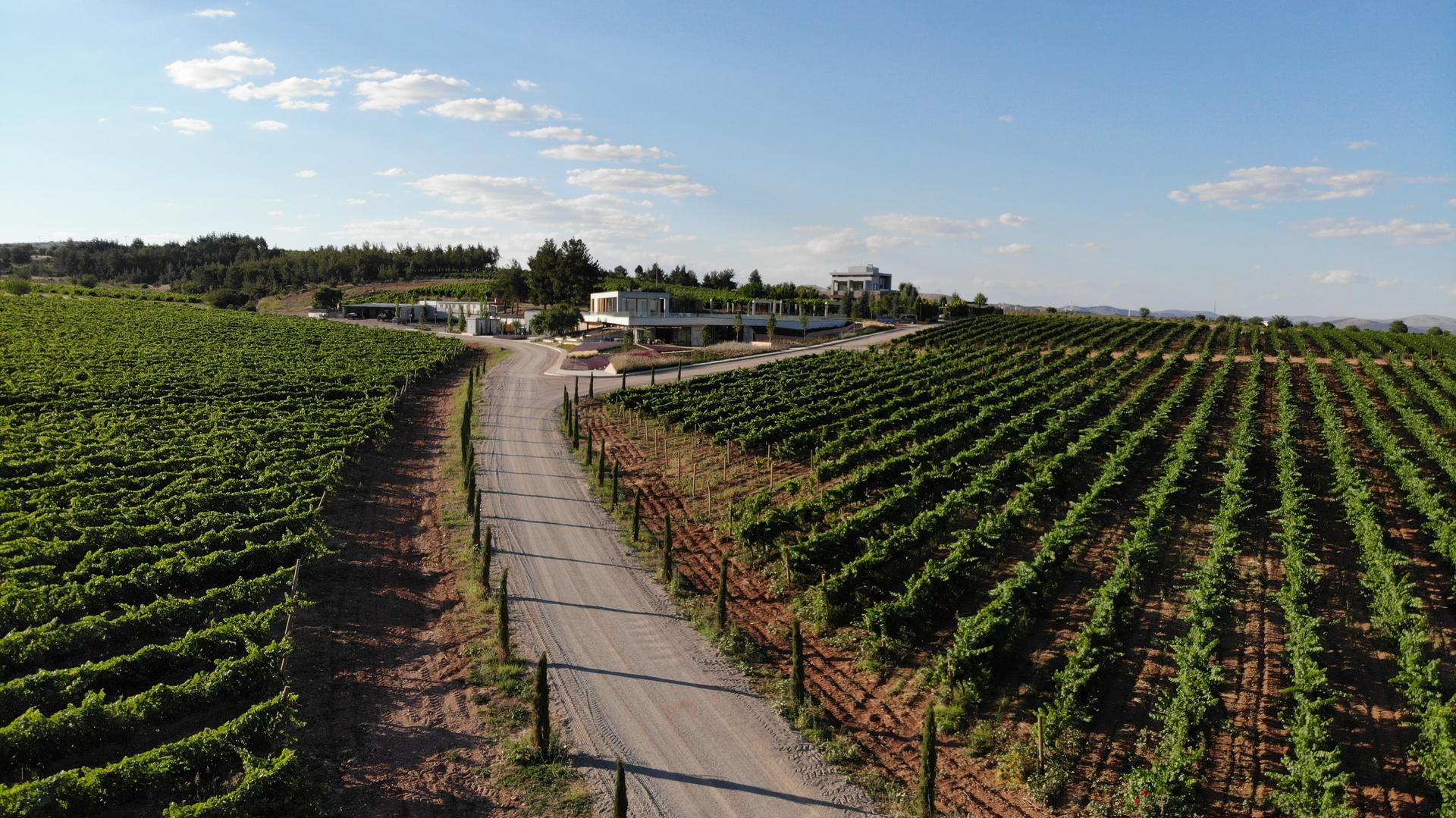 Kuzubağ Winery