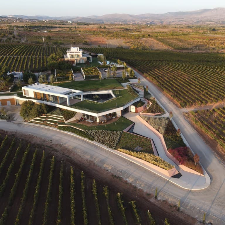 Kuzubağ Winery - image 3