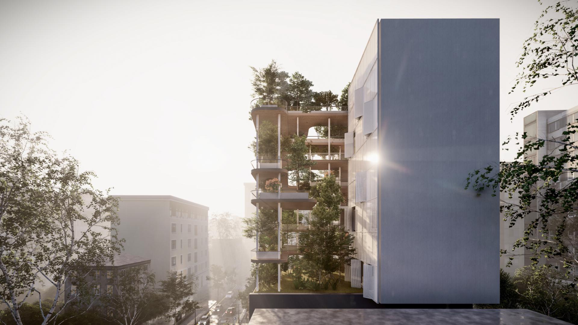 Green Yards - image 7