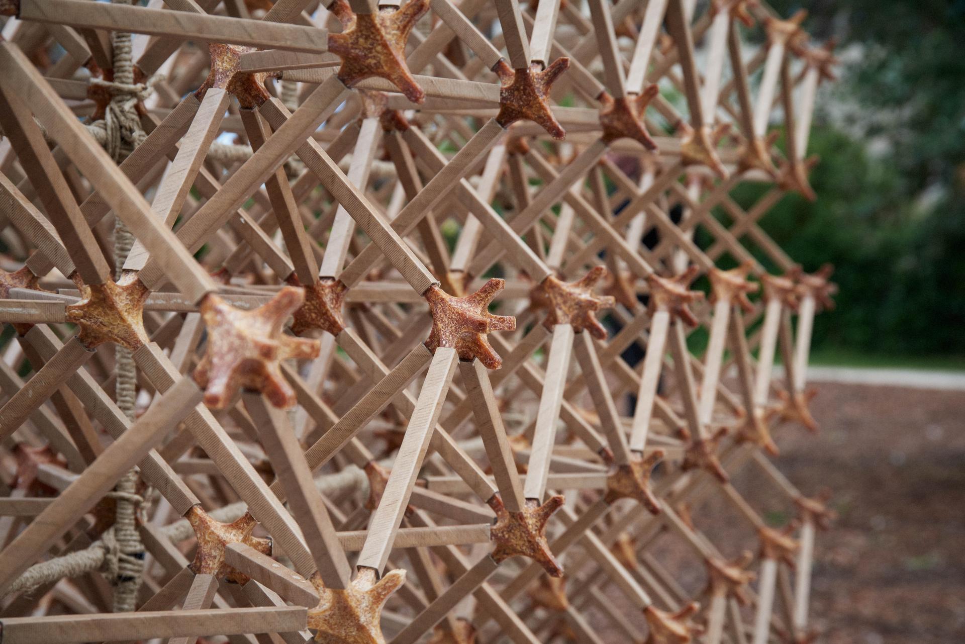 World Food Waste Tea House: #001 Veneti-an - image 2