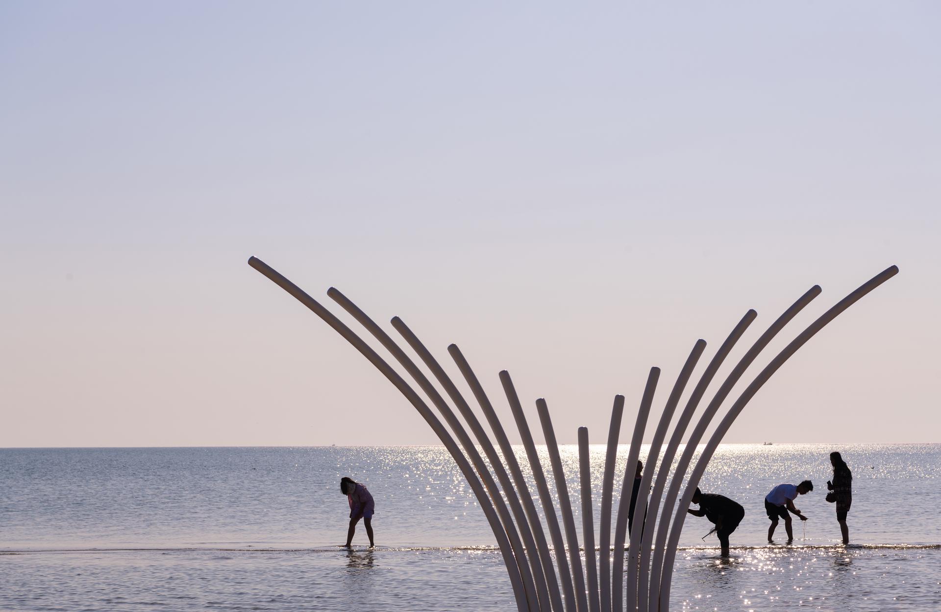 Aranya Seaside Whale Swing - image 9