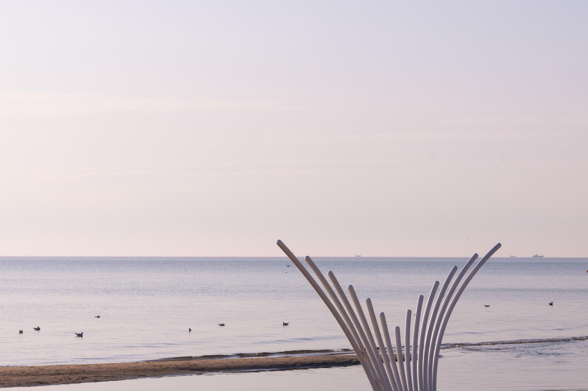 Aranya Seaside Whale Swing - image 10