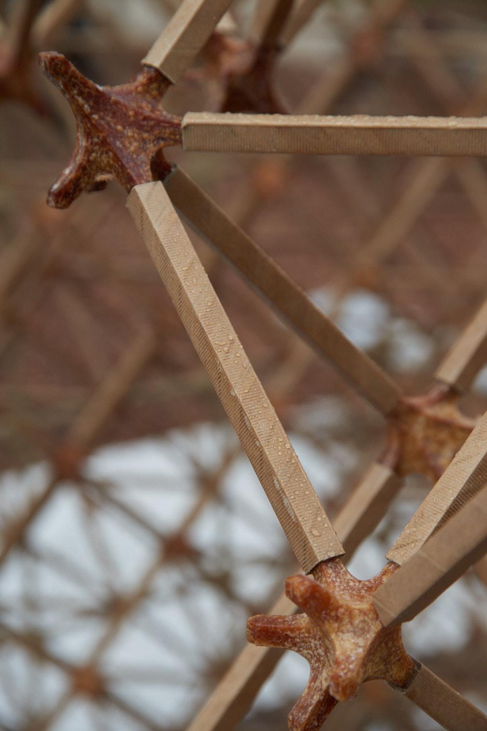 World Food Waste Tea House: #001 Veneti-an - image 16