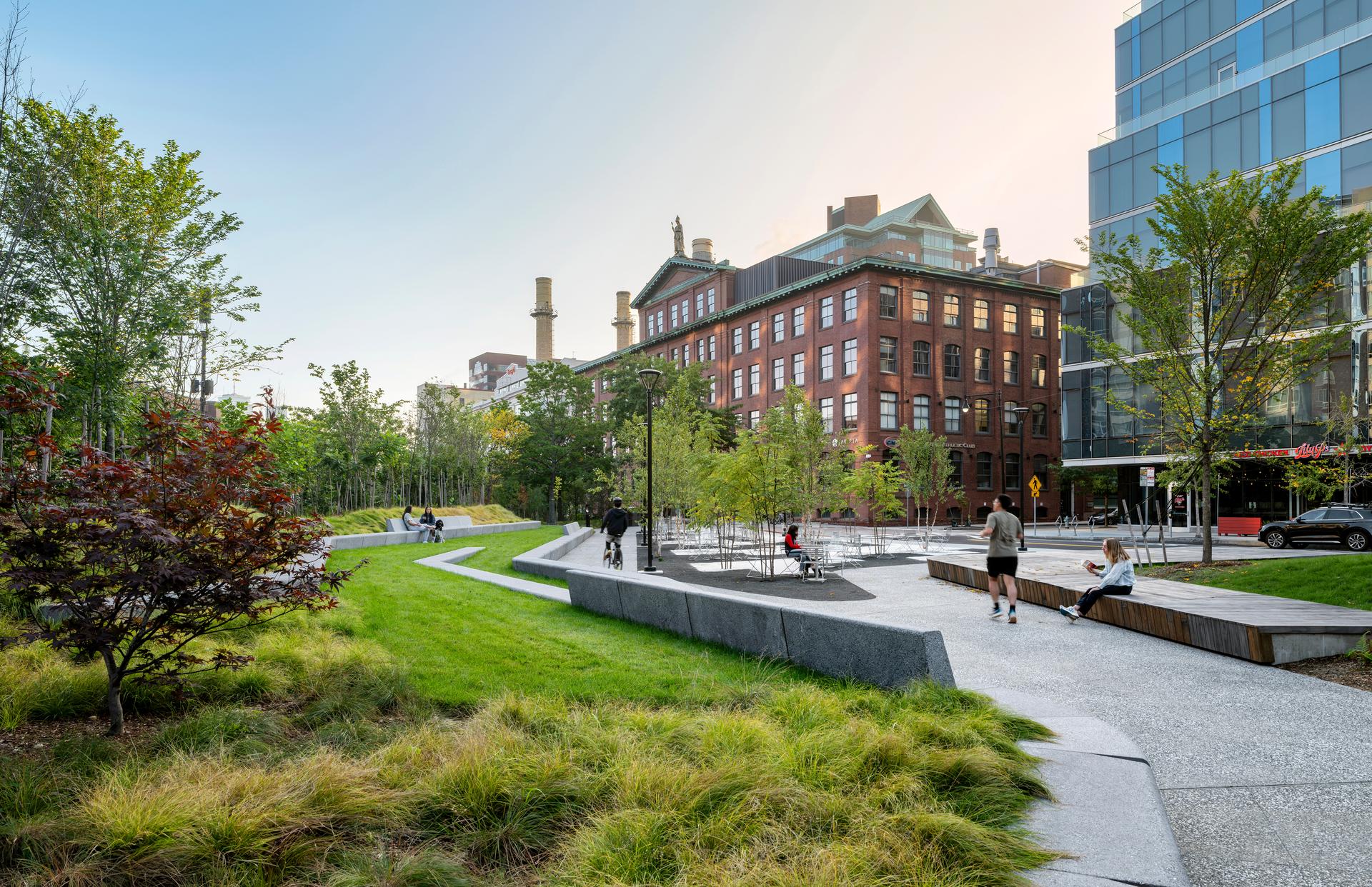 Triangle Park Urban Forest - image 2