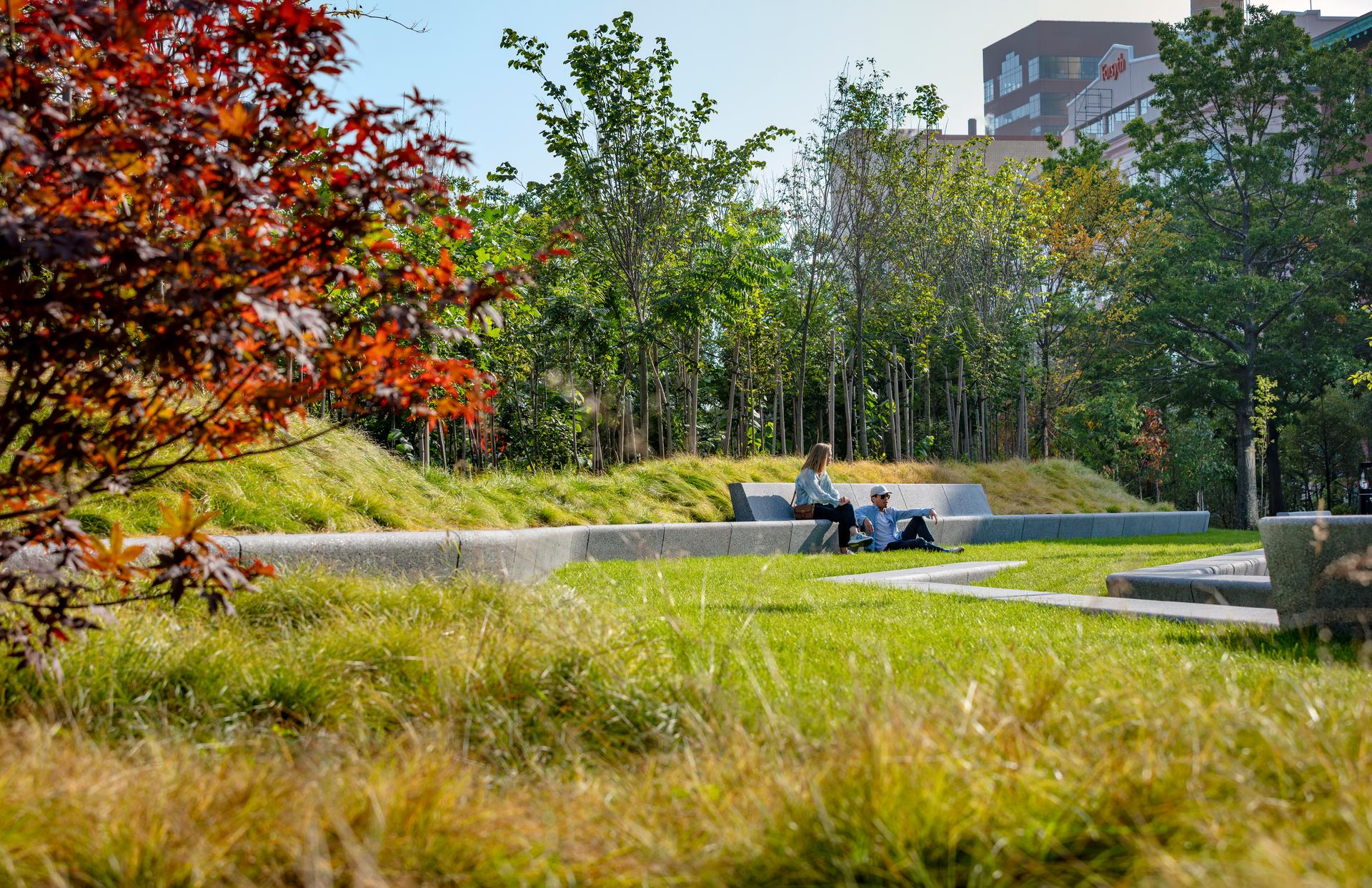 Triangle Park Urban Forest