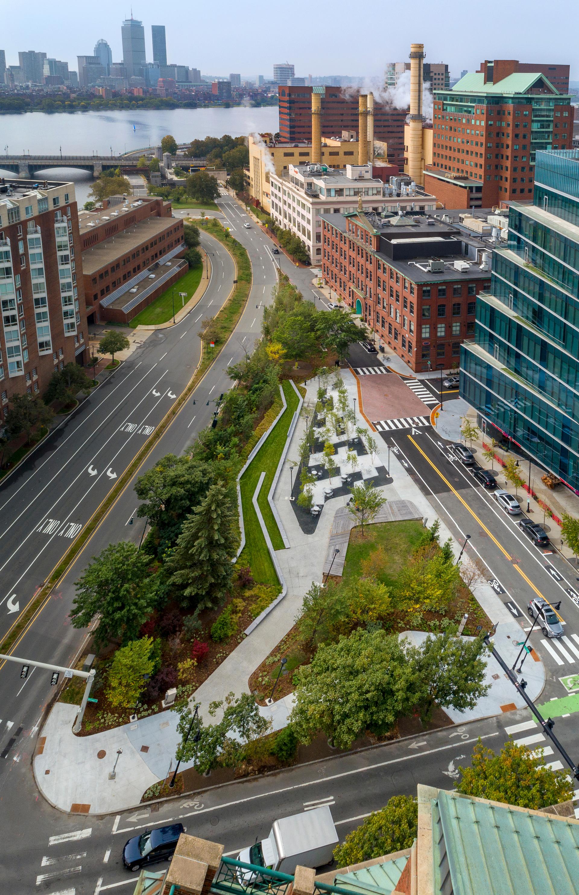 Triangle Park Urban Forest - image 3