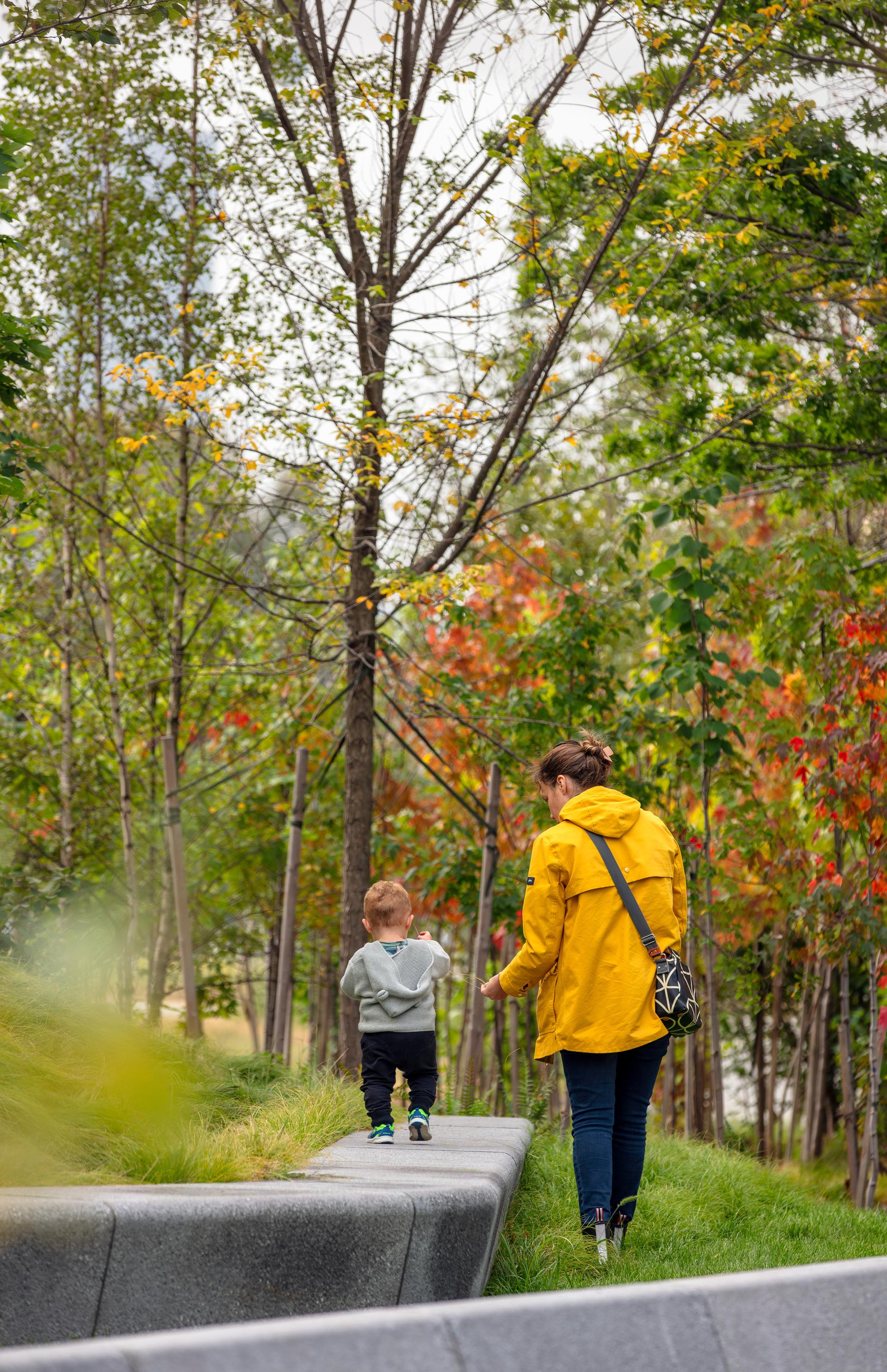 Triangle Park Urban Forest - image 4