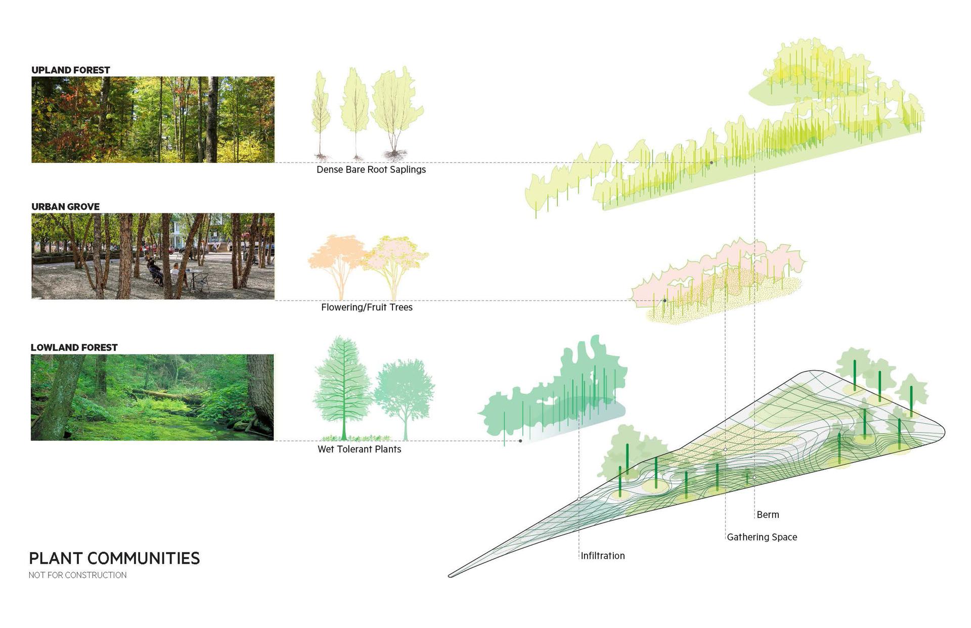 Triangle Park Urban Forest - image 5