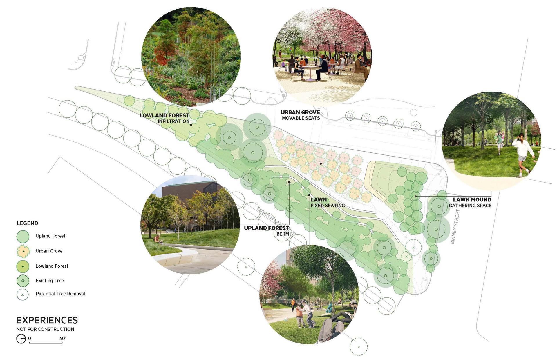 Triangle Park Urban Forest - image 6
