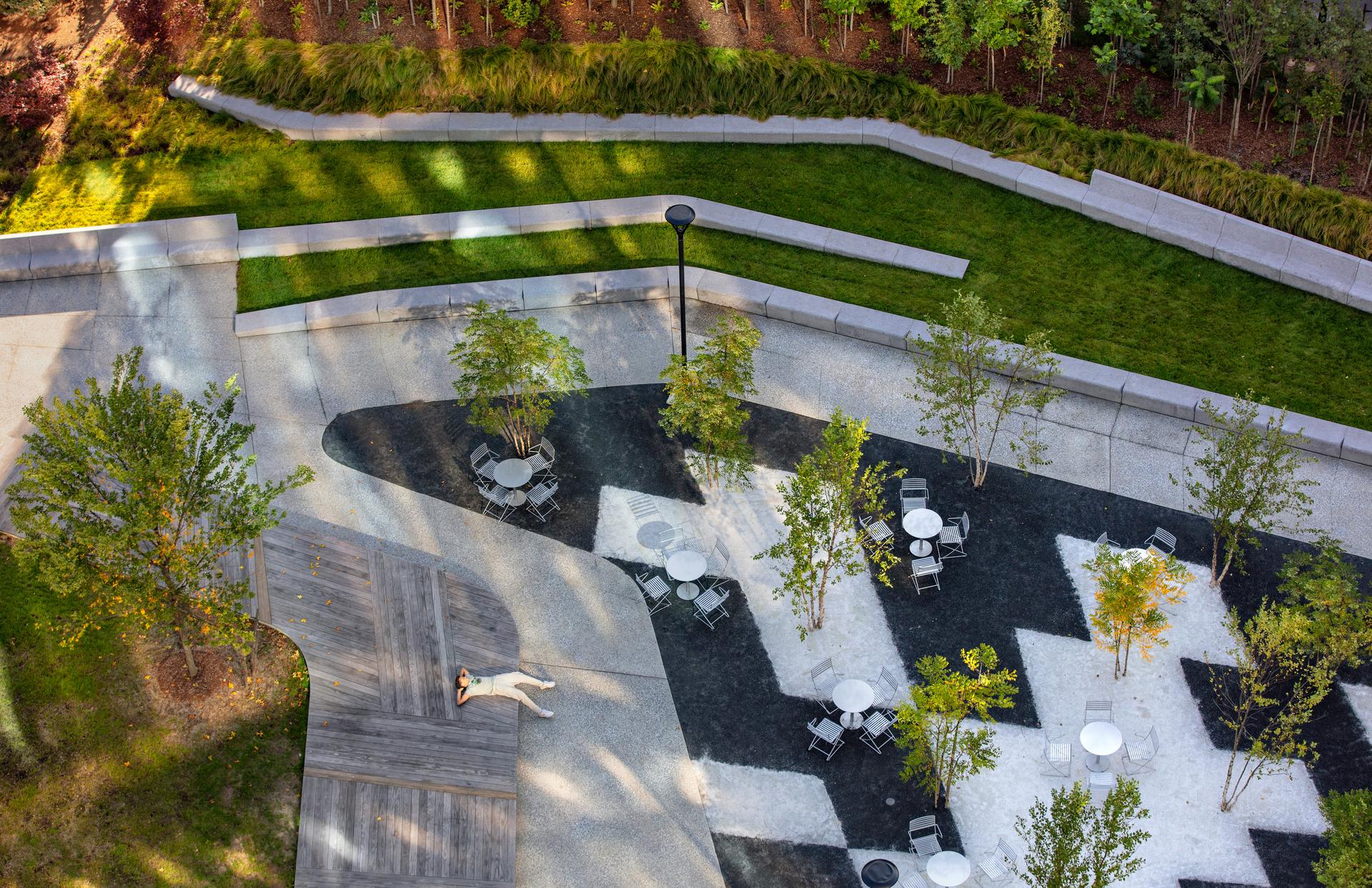 Triangle Park Urban Forest - image 9
