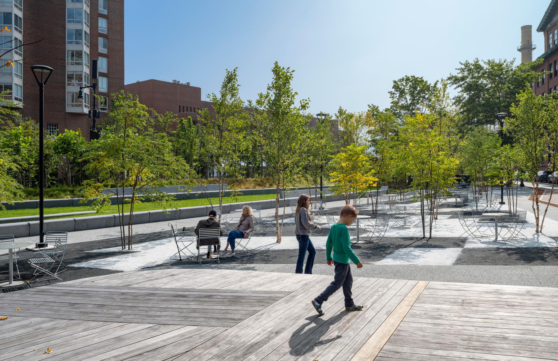 Triangle Park Urban Forest - image 11