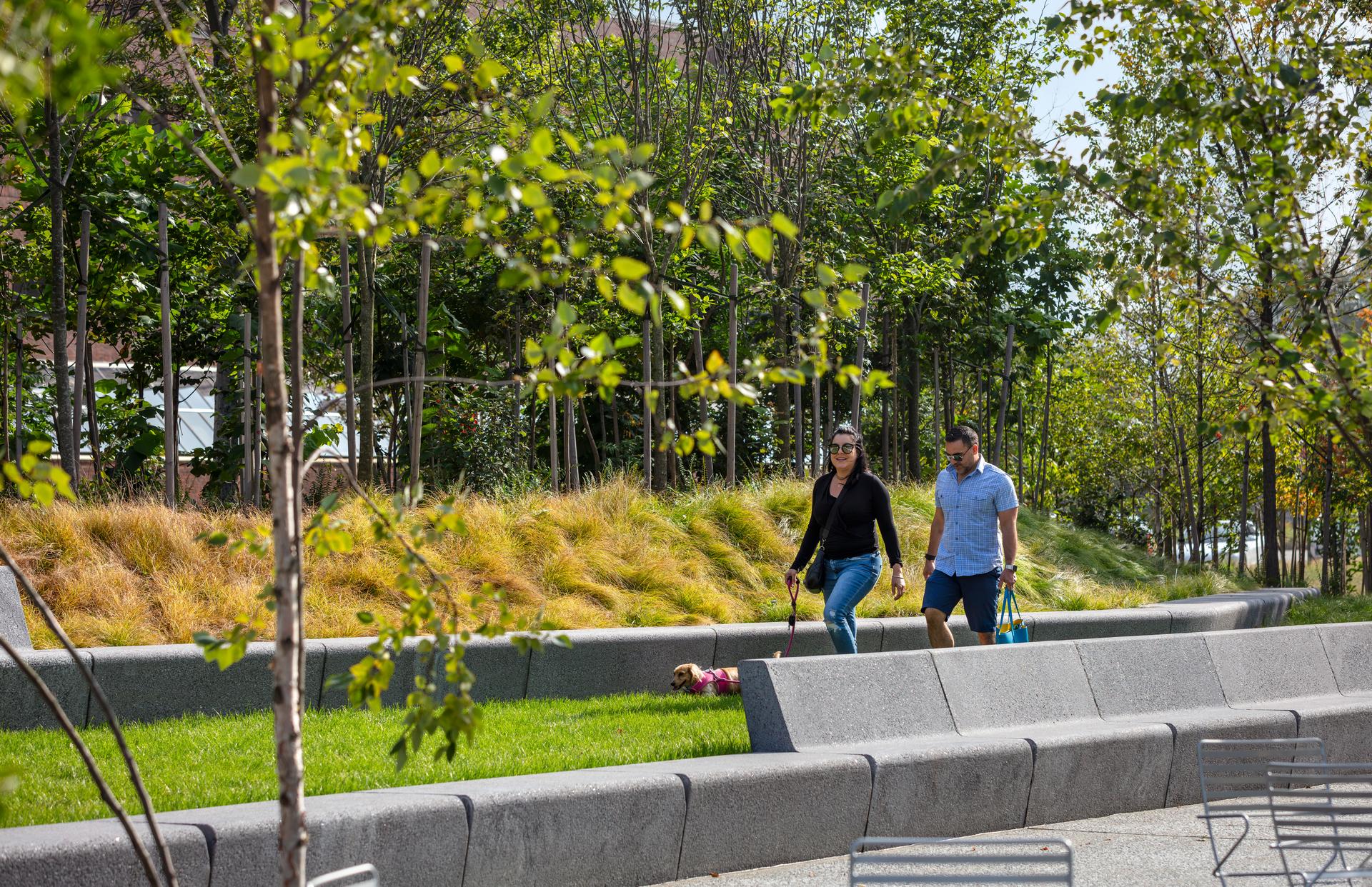 Triangle Park Urban Forest - image 12