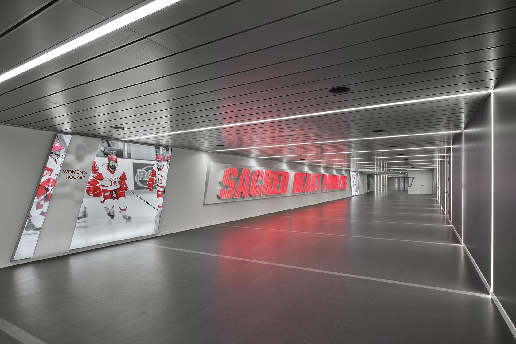 Martire Family Arena - image 8