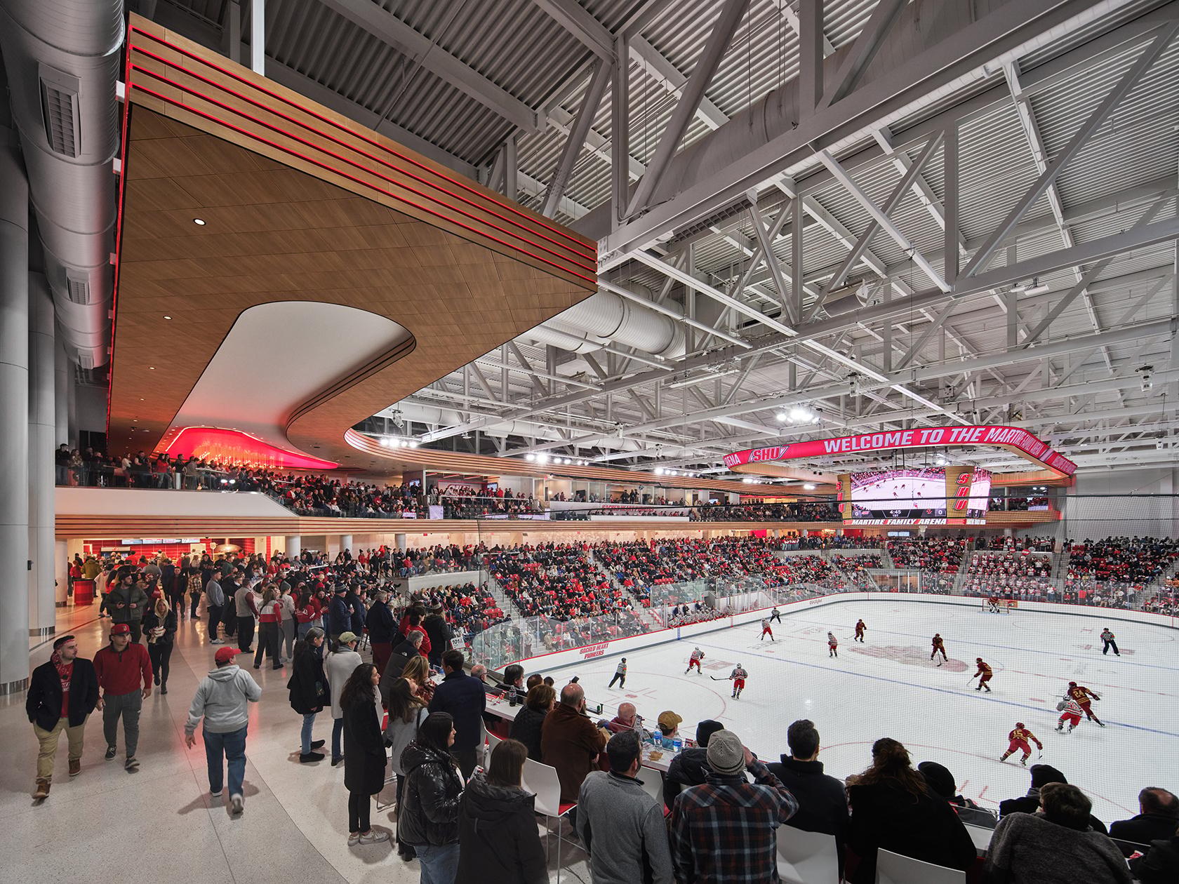 Martire Family Arena - image 11