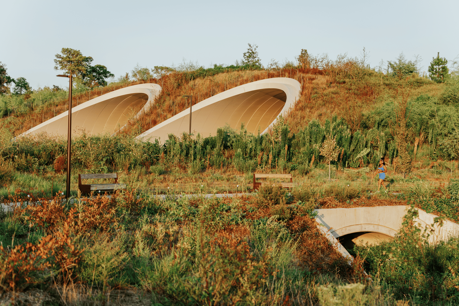 Kinder Land Bridge and Cyvia and Melvyn Wolff Prairie at Memorial Park - image 4