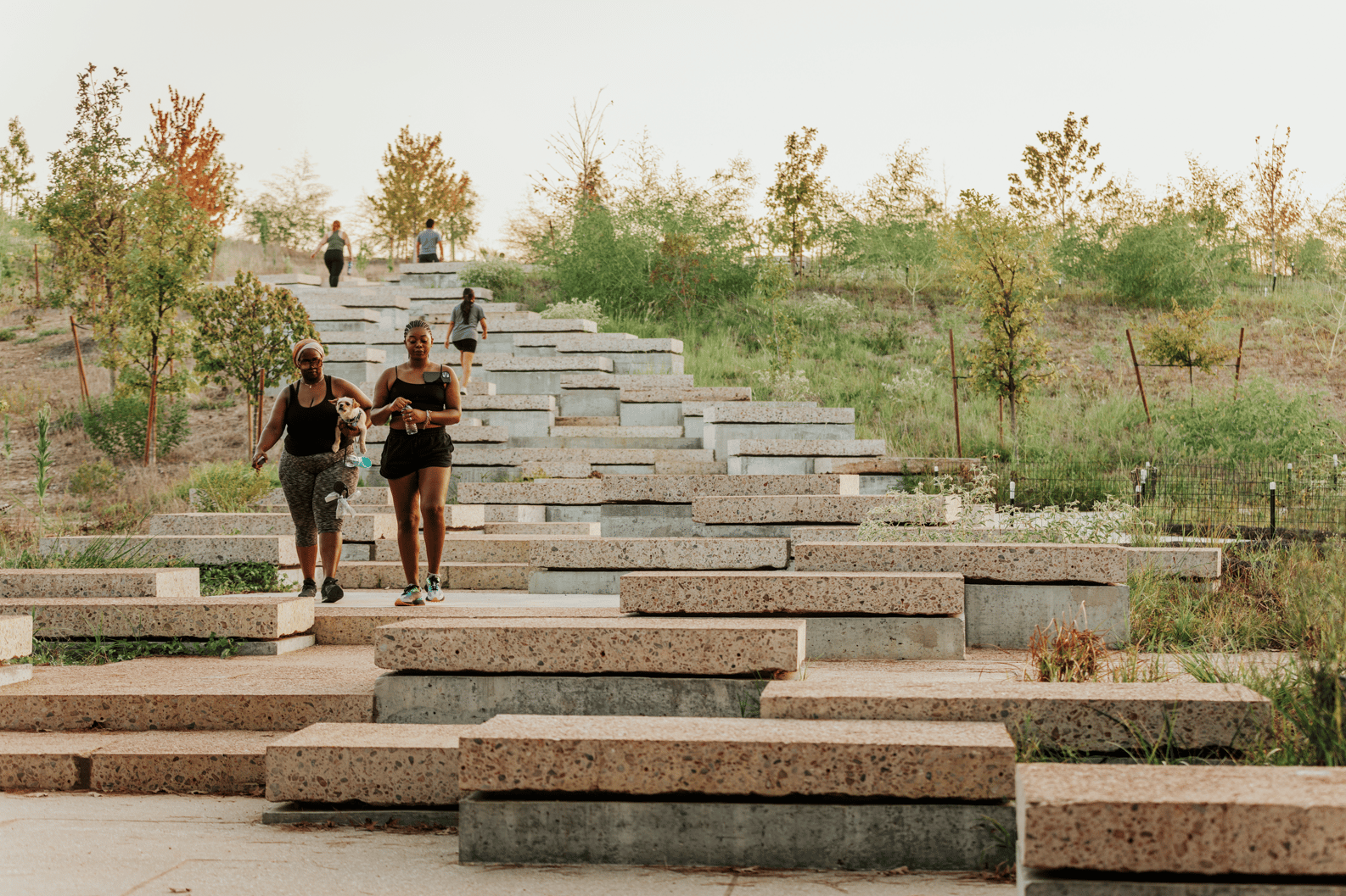 Kinder Land Bridge and Cyvia and Melvyn Wolff Prairie at Memorial Park - image 8