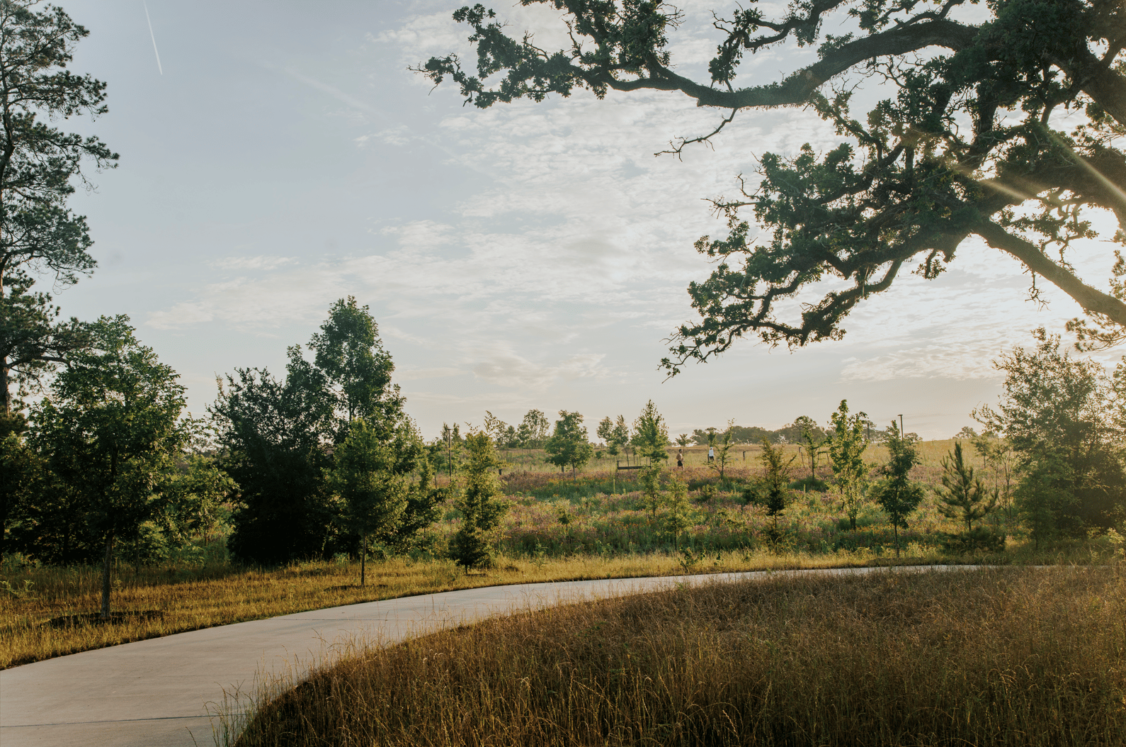 Kinder Land Bridge and Cyvia and Melvyn Wolff Prairie at Memorial Park - image 9