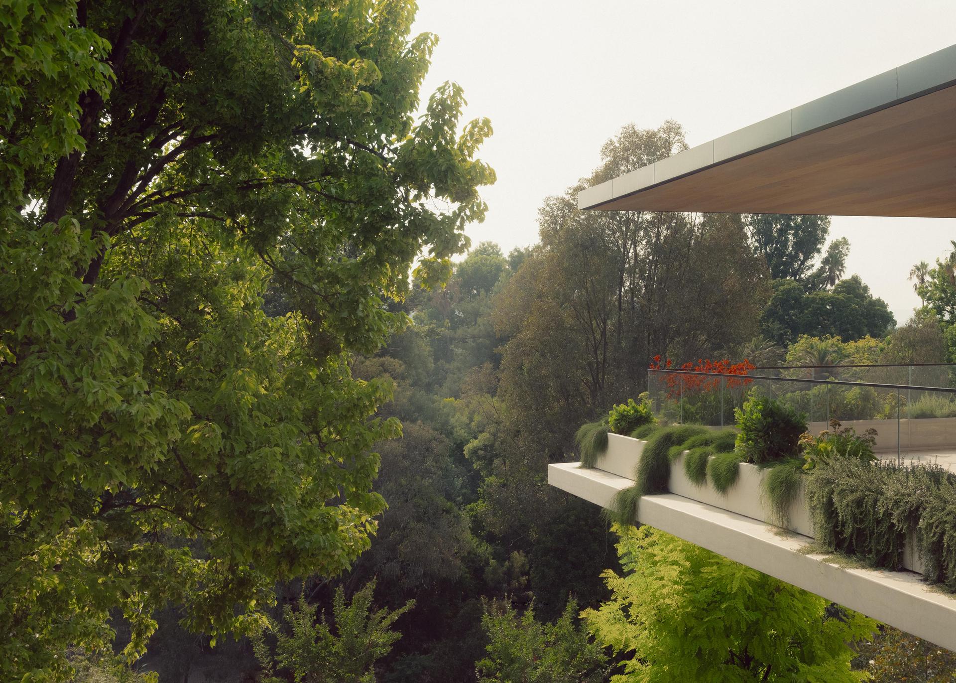 Hillside Residence
