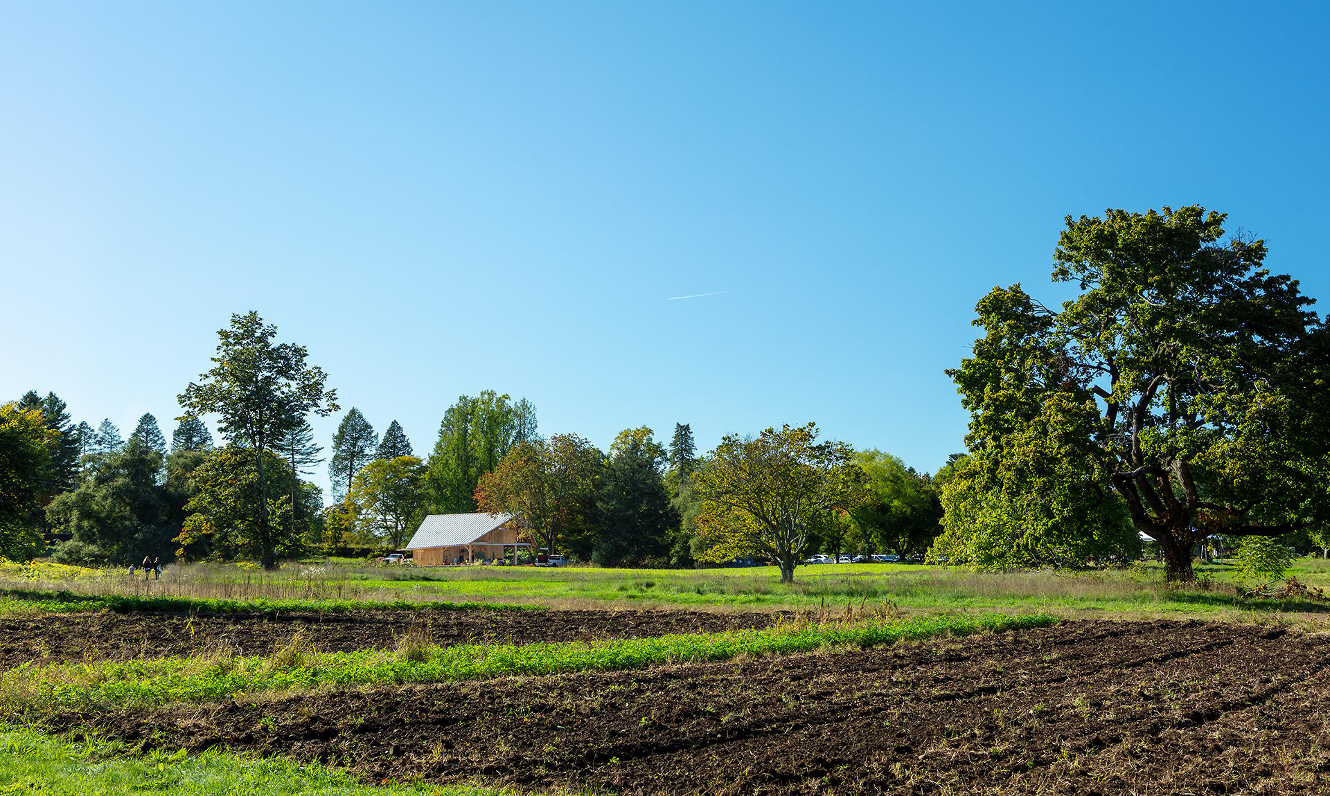 Land's Sake Farm, New Farmstand, Education Pavilion and Barn - image 20