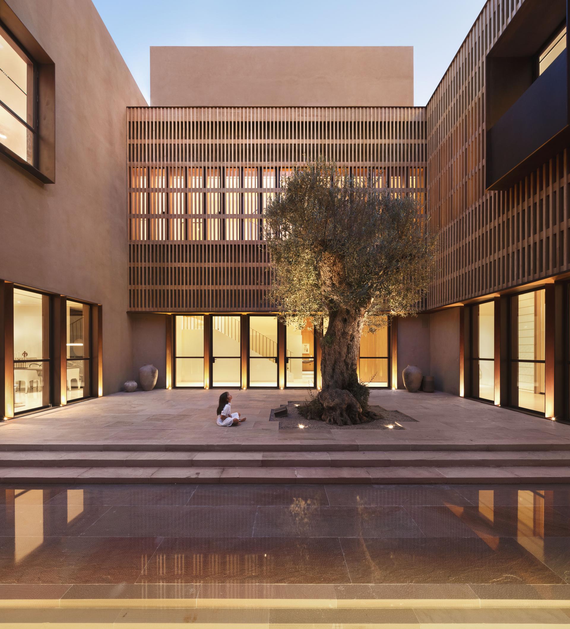 The House of Courtyards - image 2