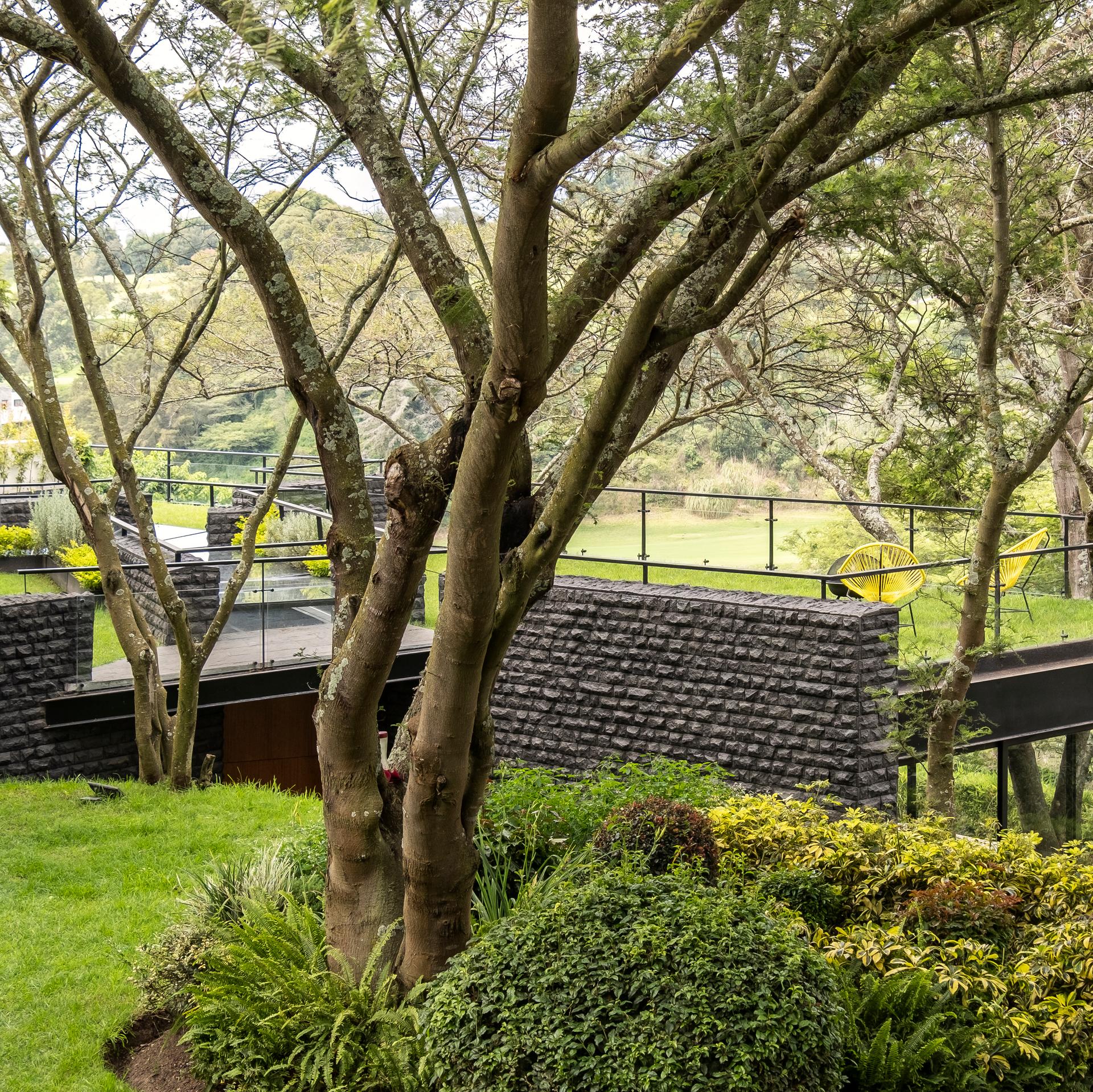 Hidden Stone House - image 3