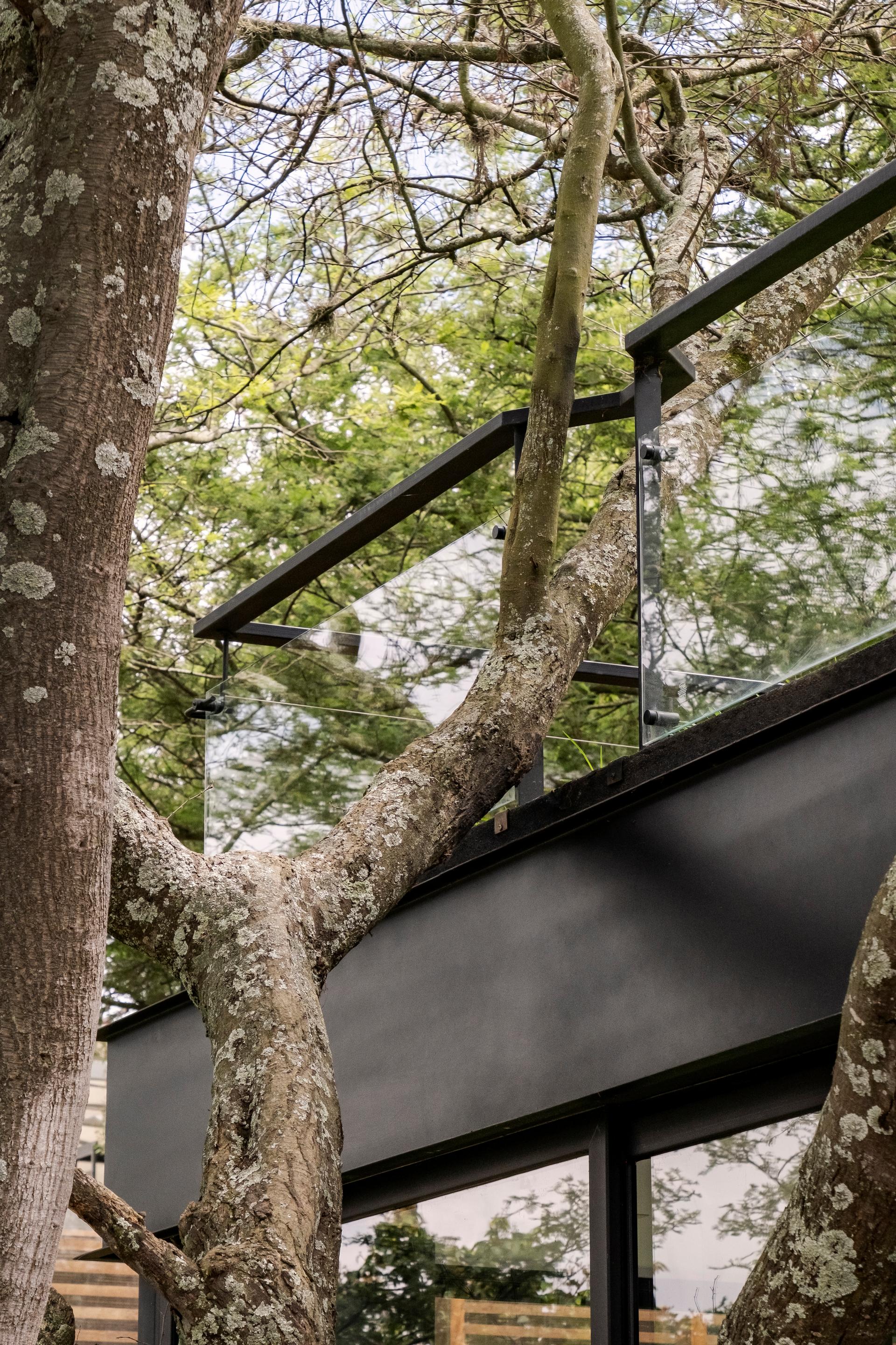 Hidden Stone House - image 8