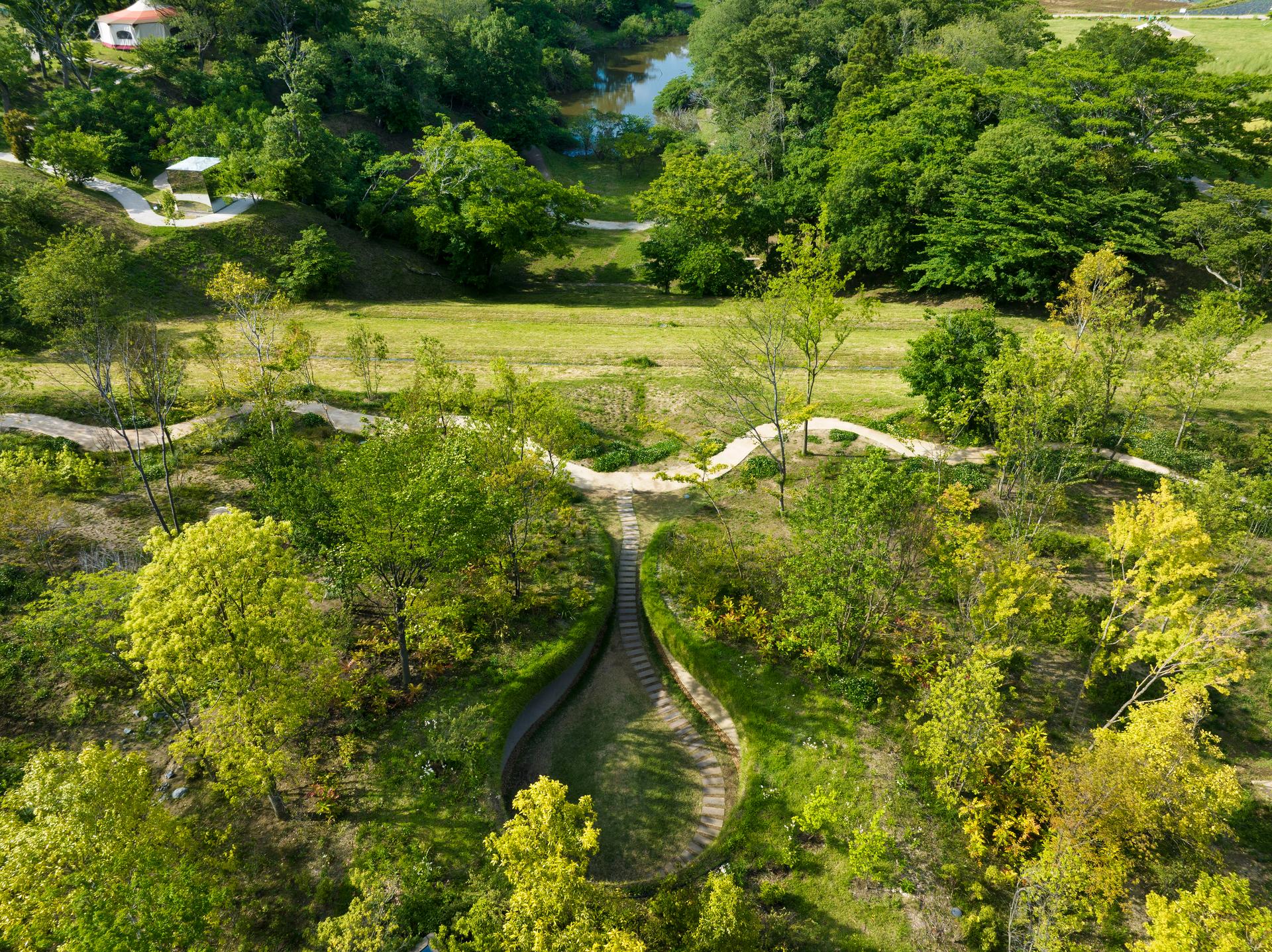 Library in the Earth - image 3