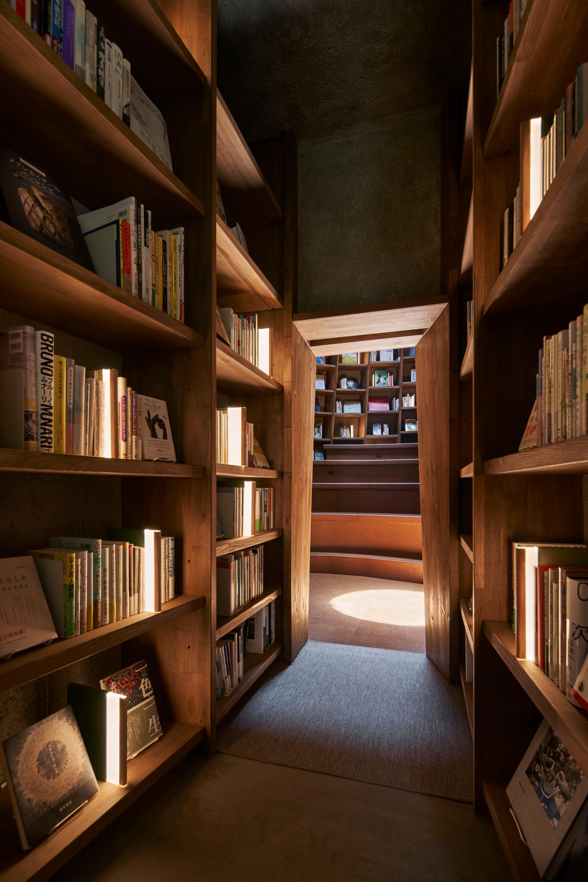 Library in the Earth - image 18