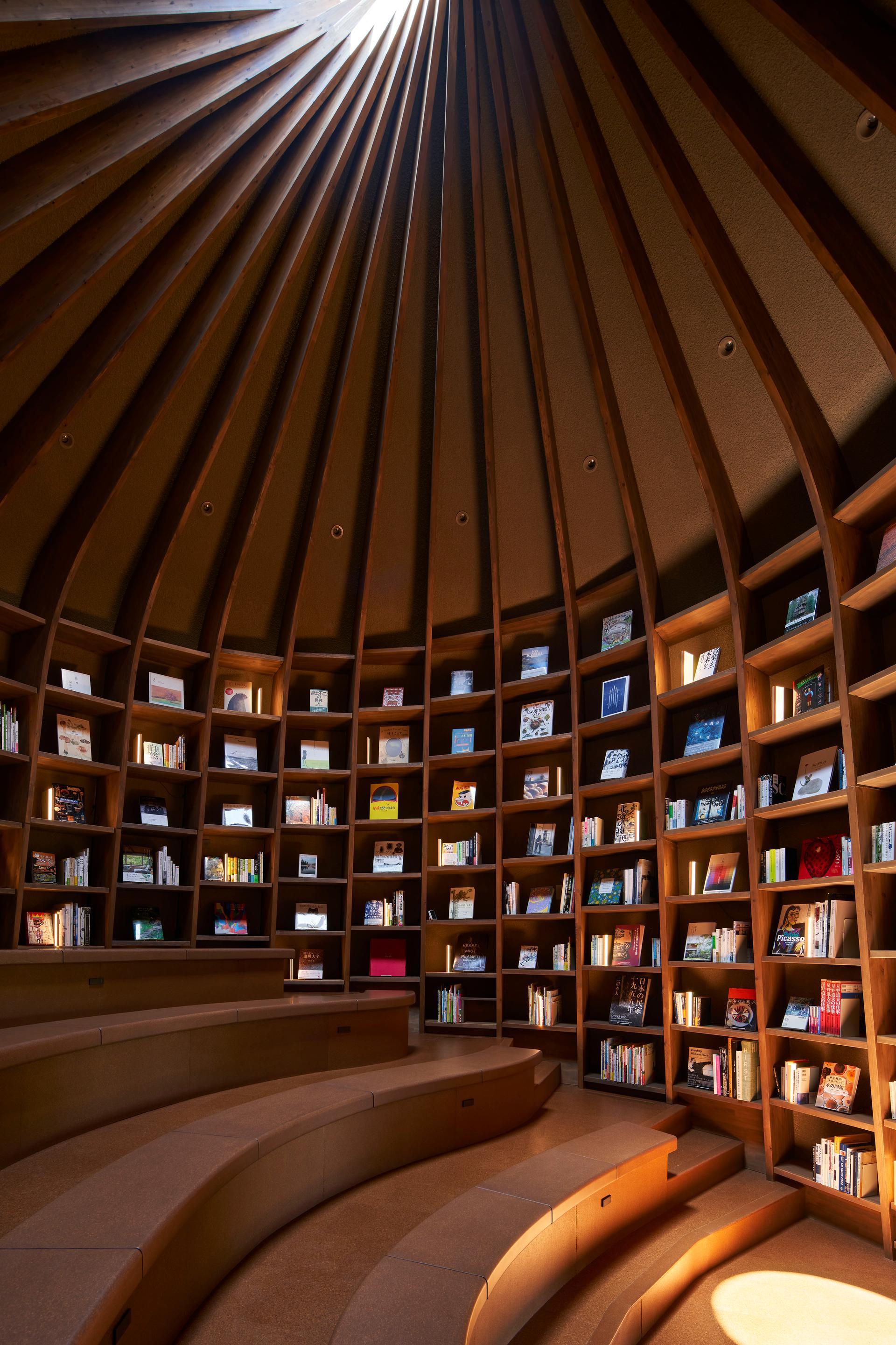 Library in the Earth - image 19