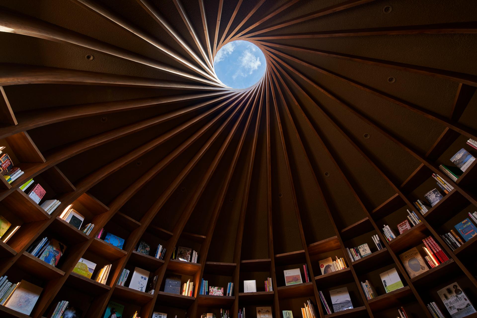 Library in the Earth - image 21