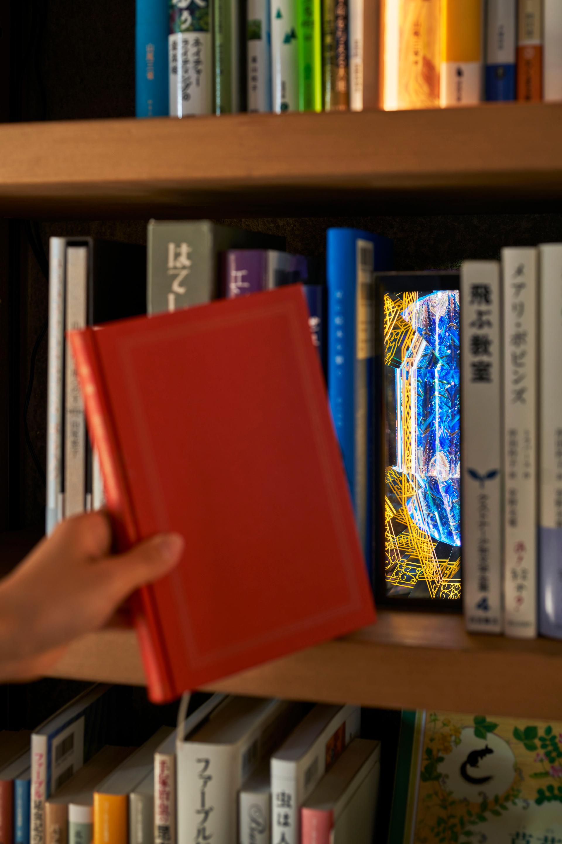 Library in the Earth - image 26