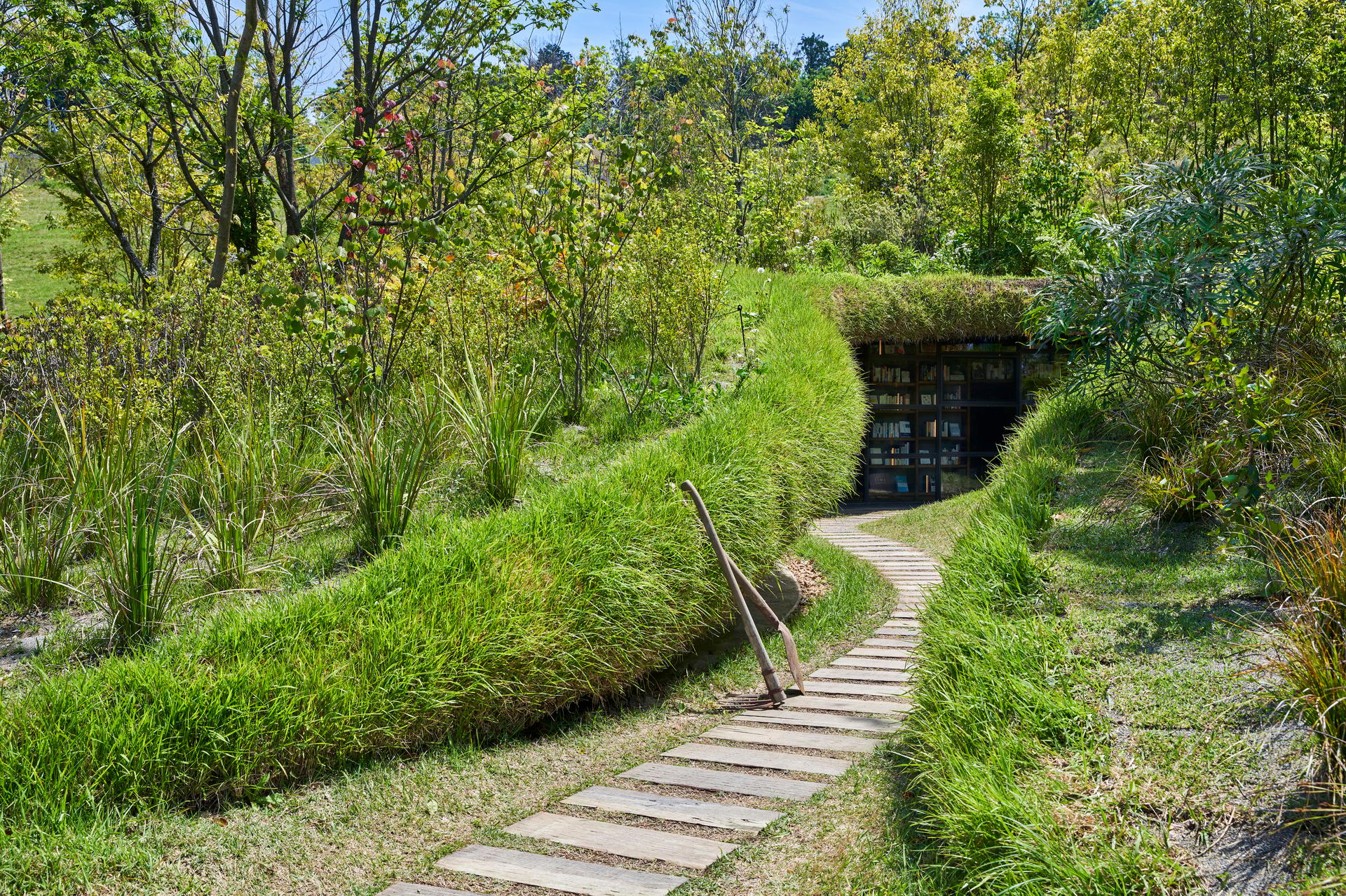 Library in the Earth - image 6