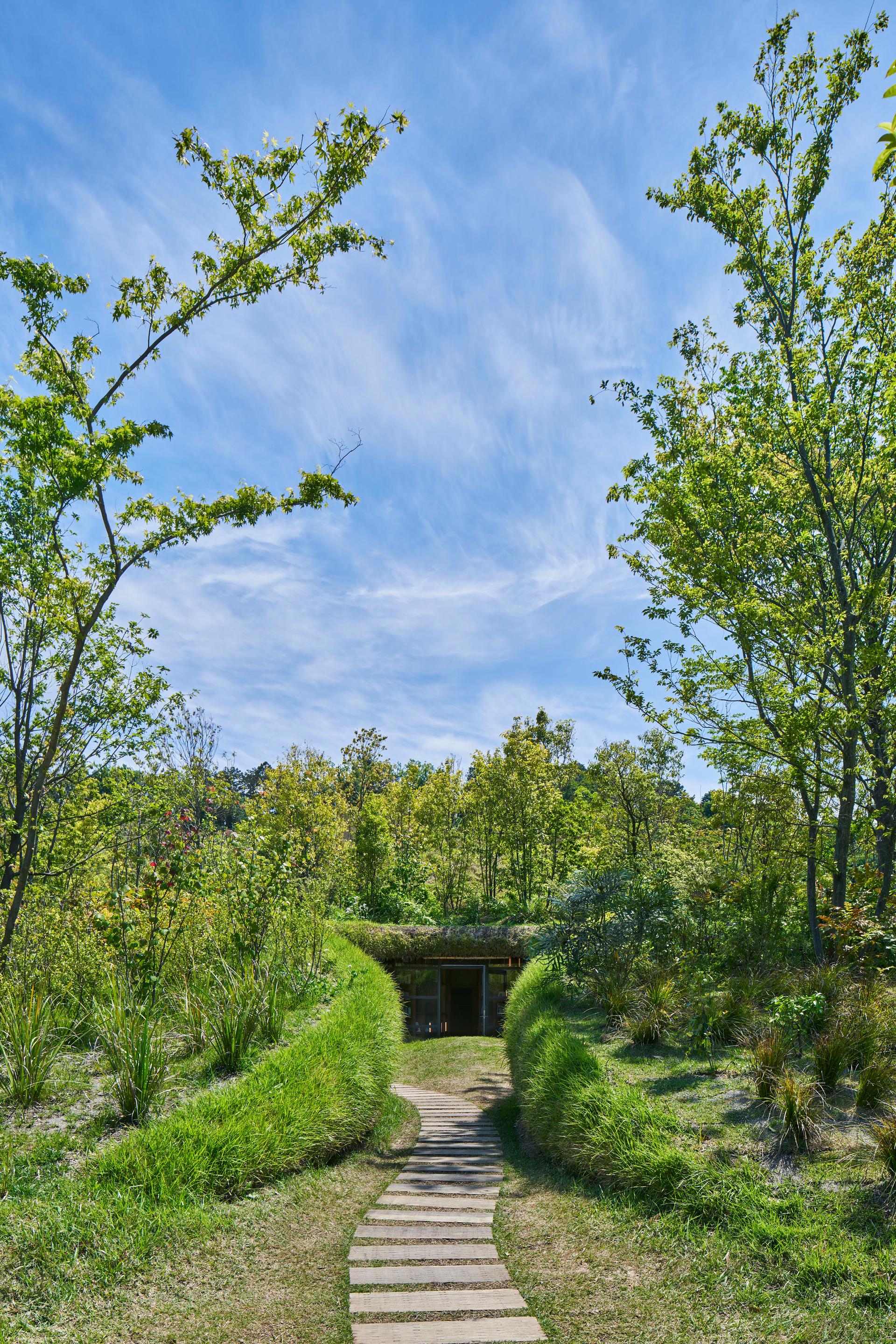 Library in the Earth - image 8