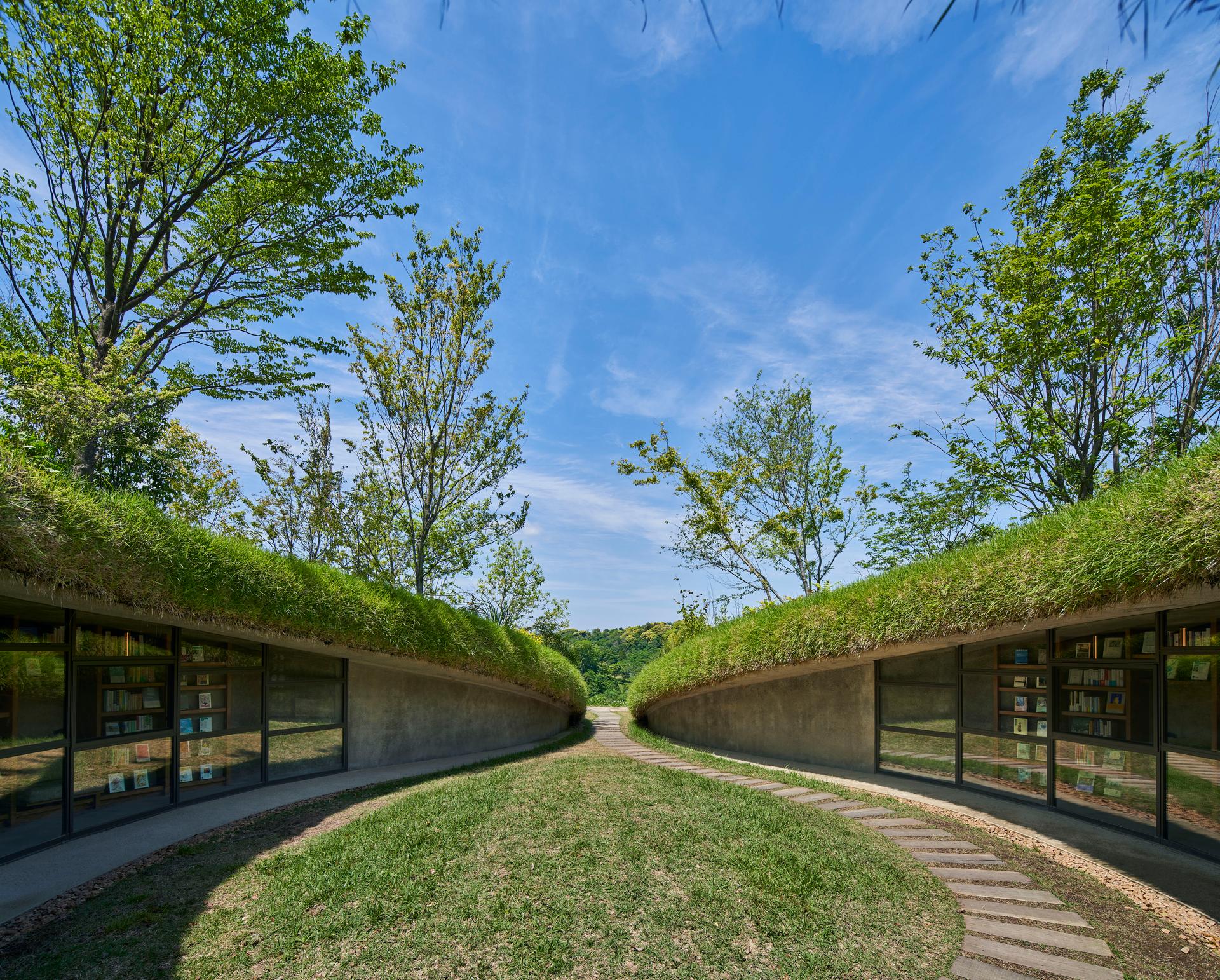 Library in the Earth - image 10