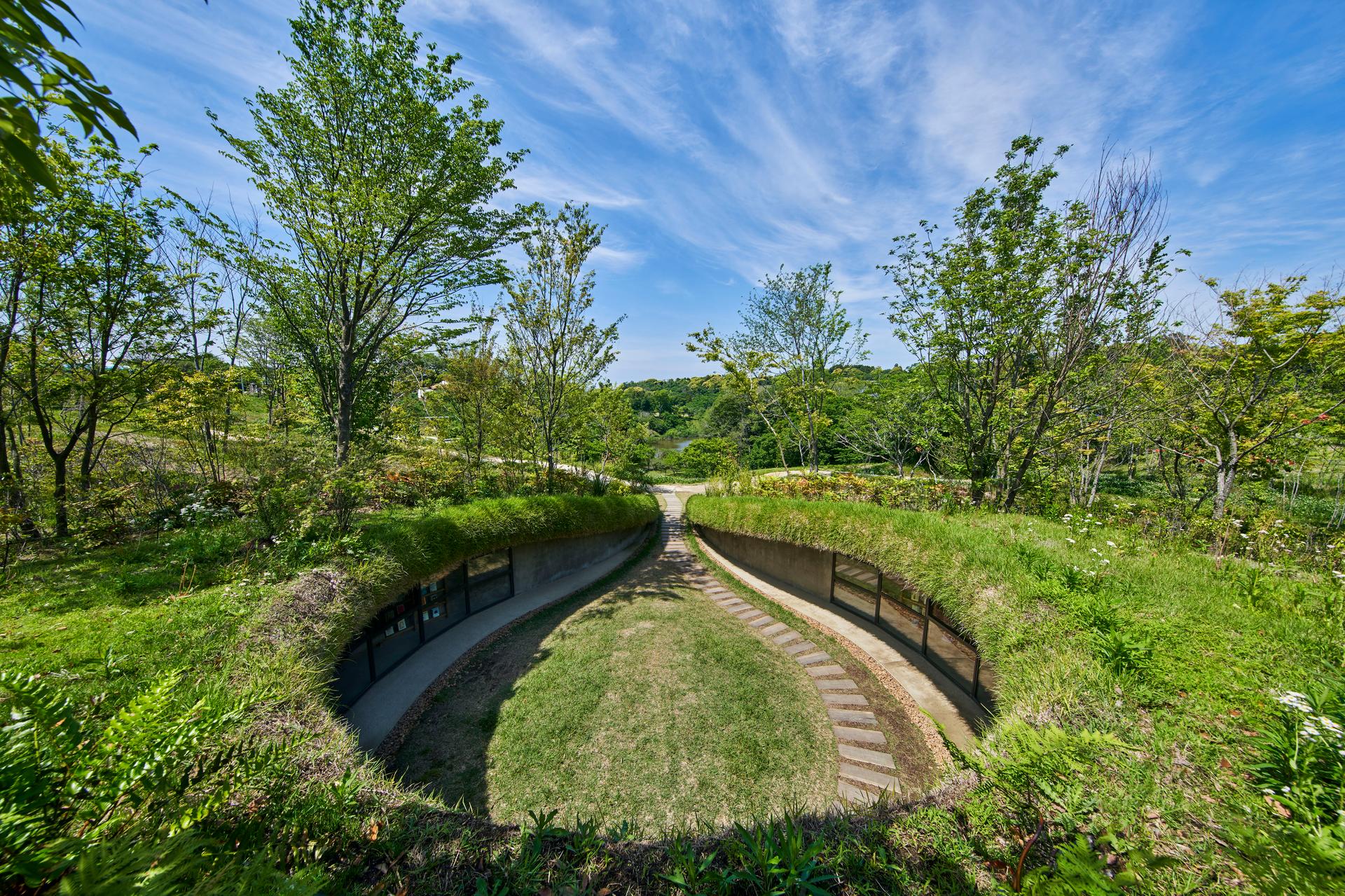 Library in the Earth - image 11