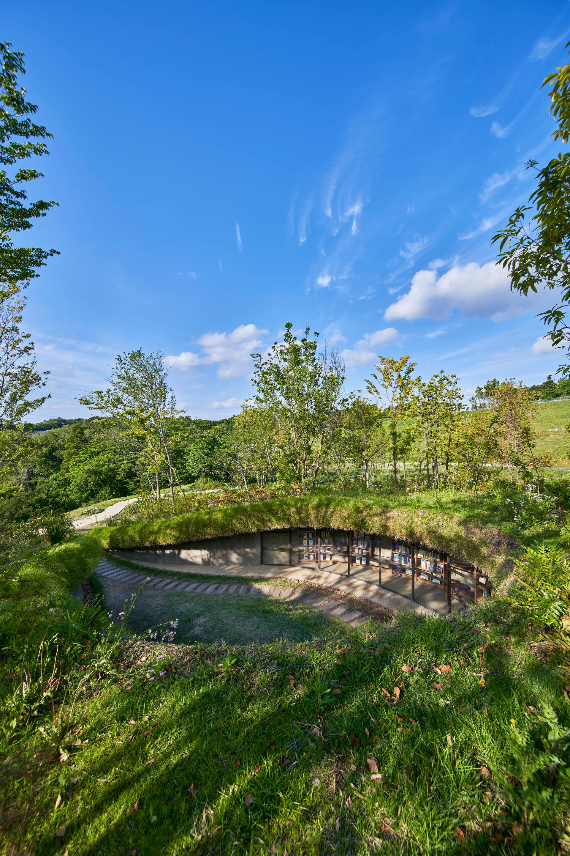 Library in the Earth