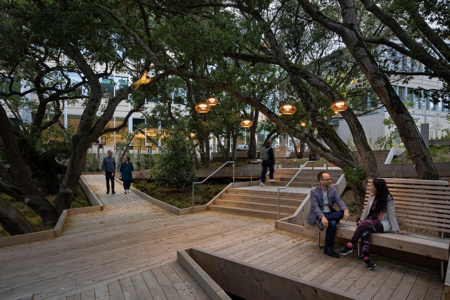 YouTube Campus Expansion - image 5