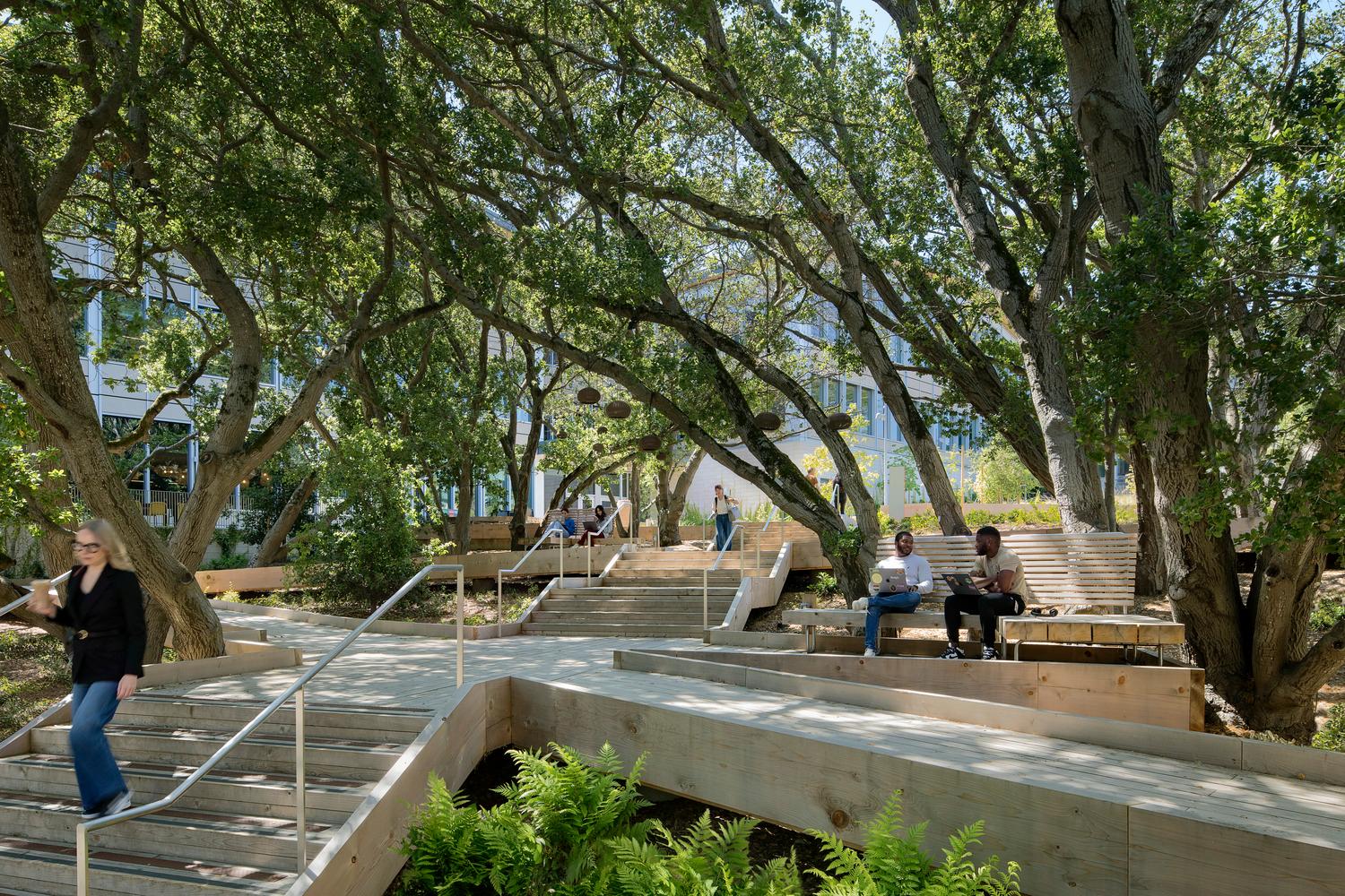YouTube Campus Expansion - image 13