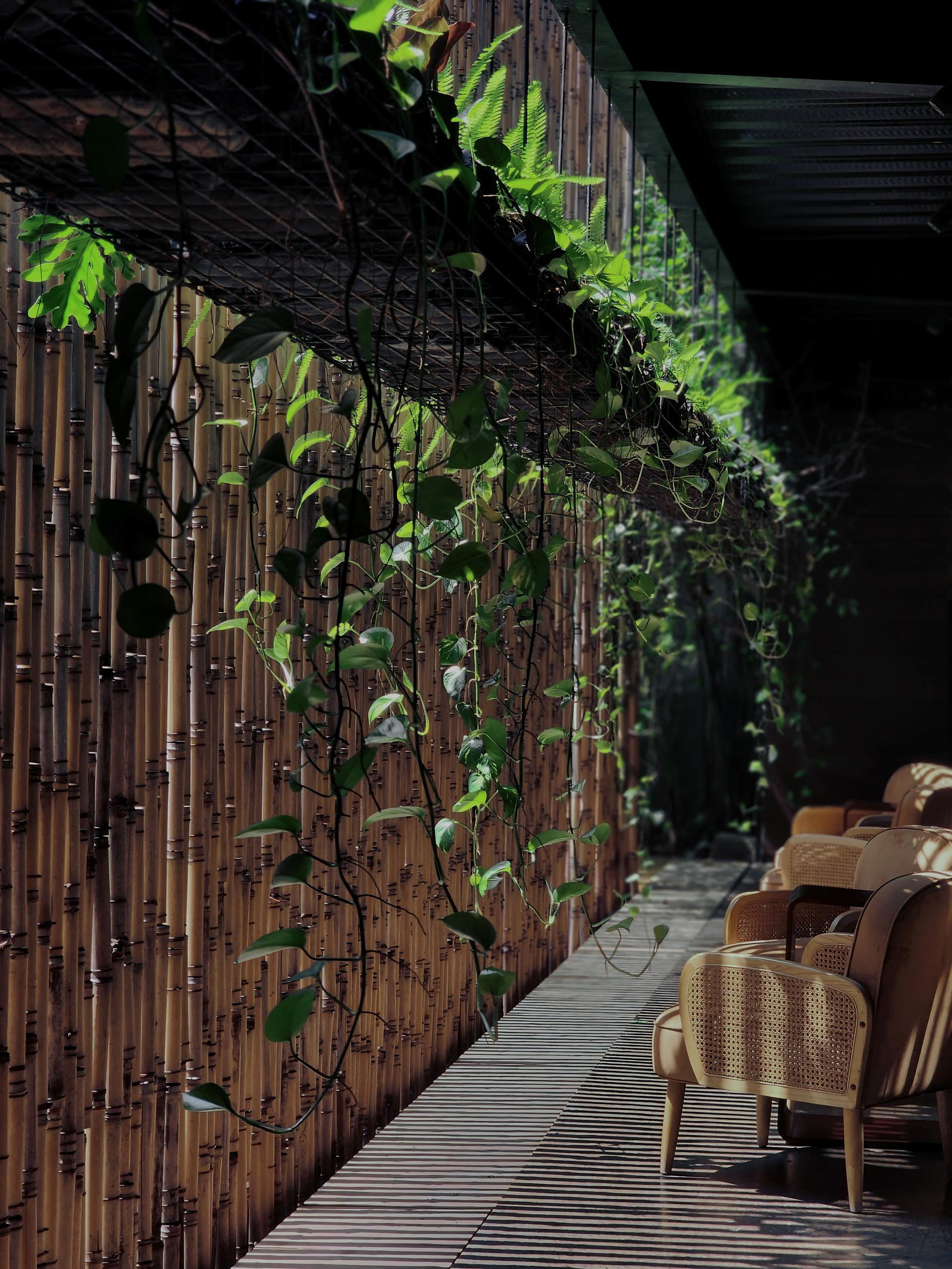 THE VIBES CO-SPACE - image 17