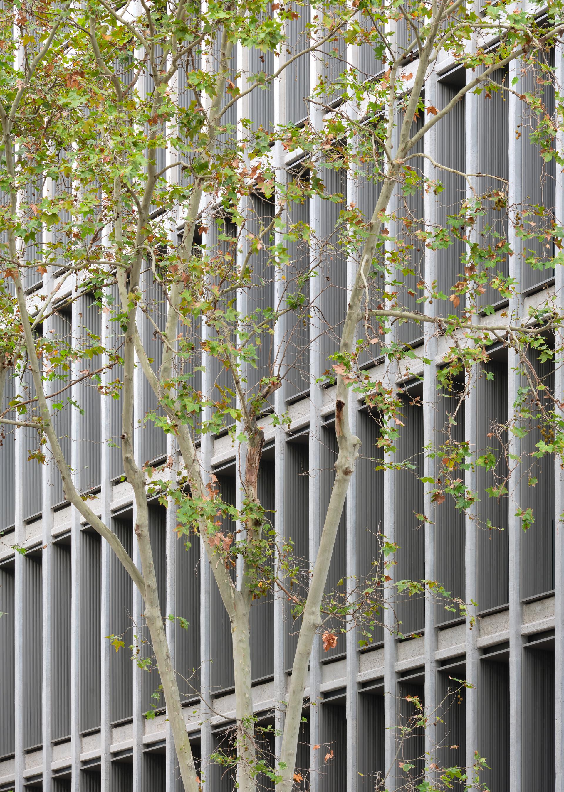 SWITCH - New Simon Headquarters - image 8
