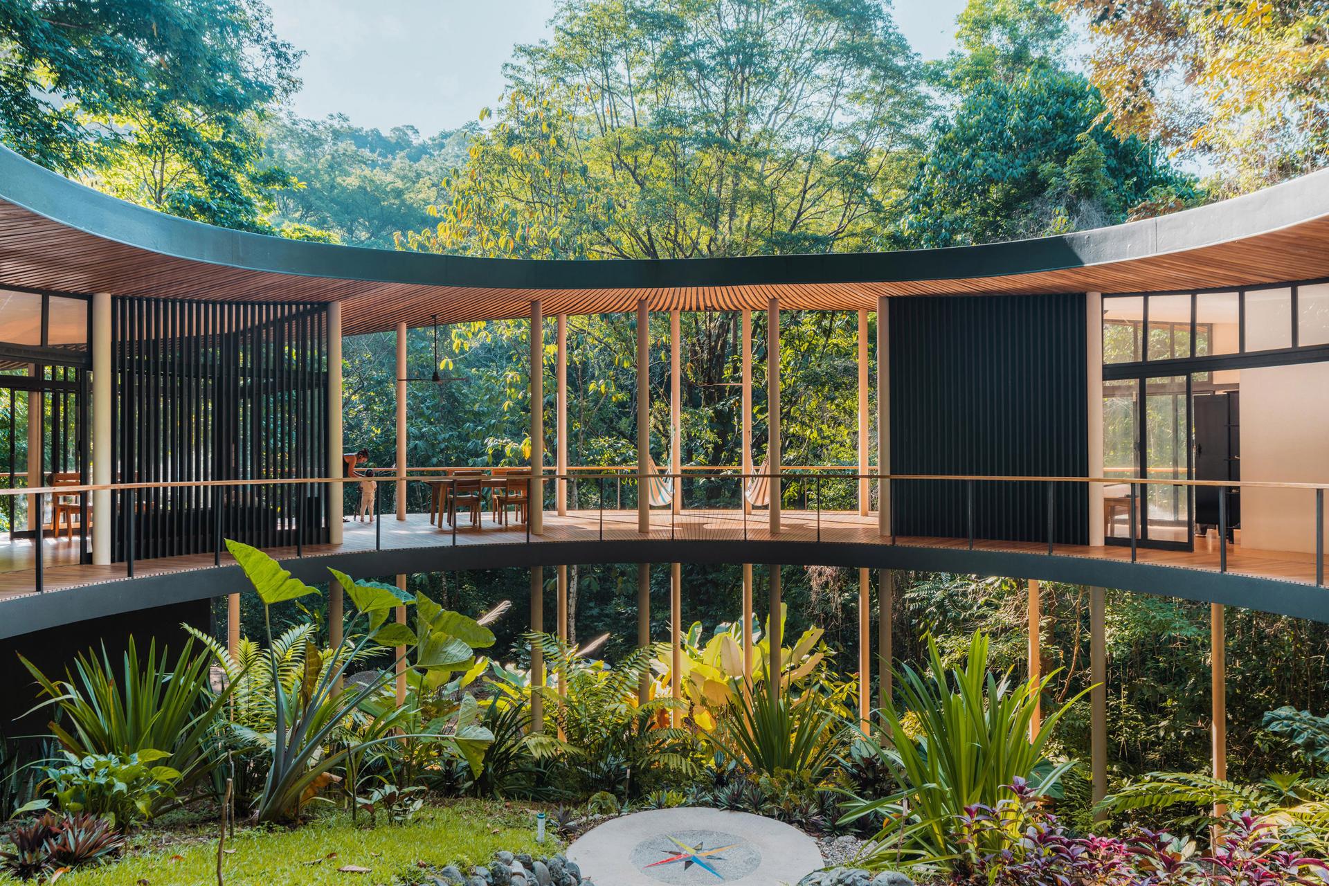 Sinfonía Verde - image 7